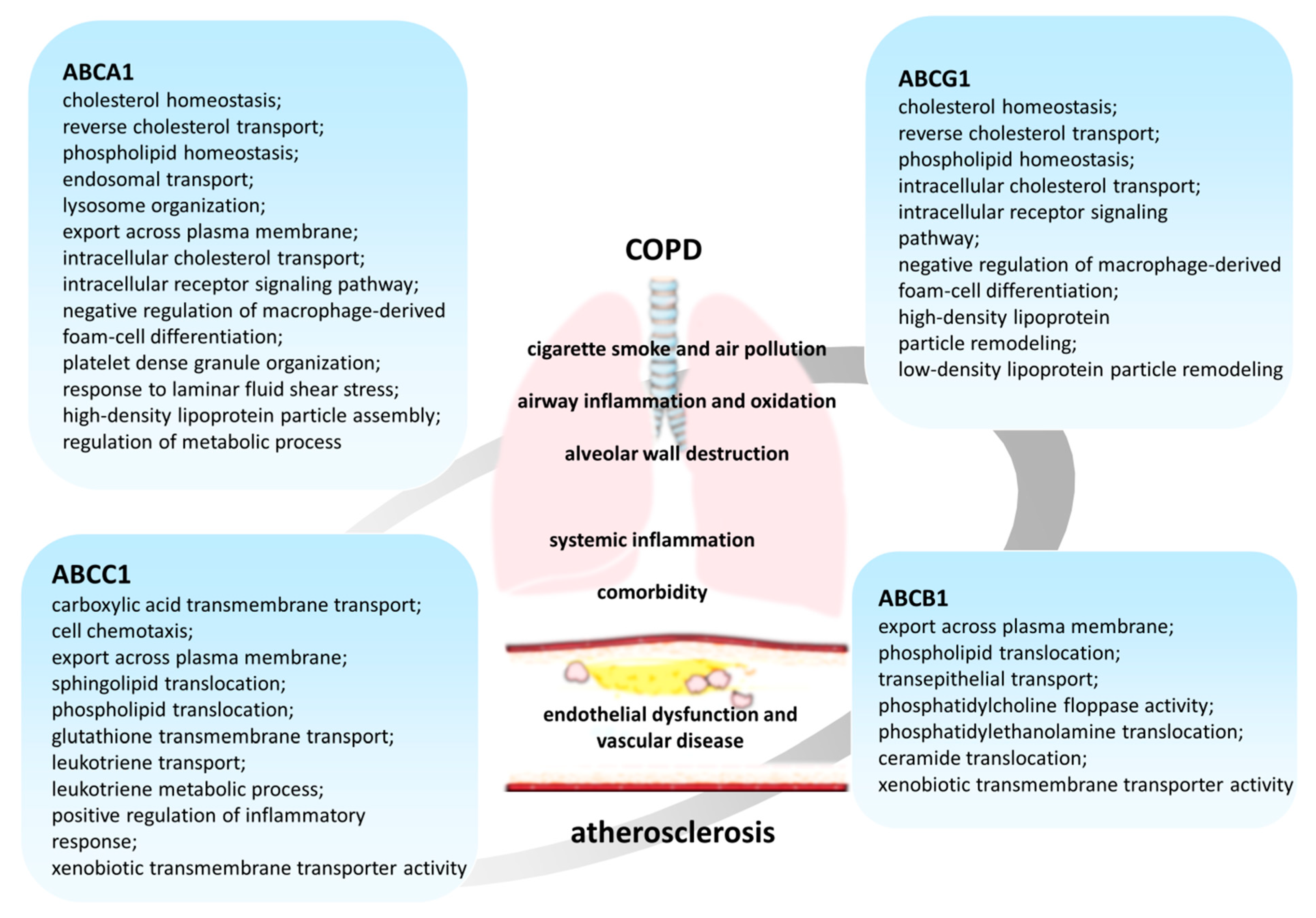 Ijms 22 06711 g002 Ijms 22 06711 g002