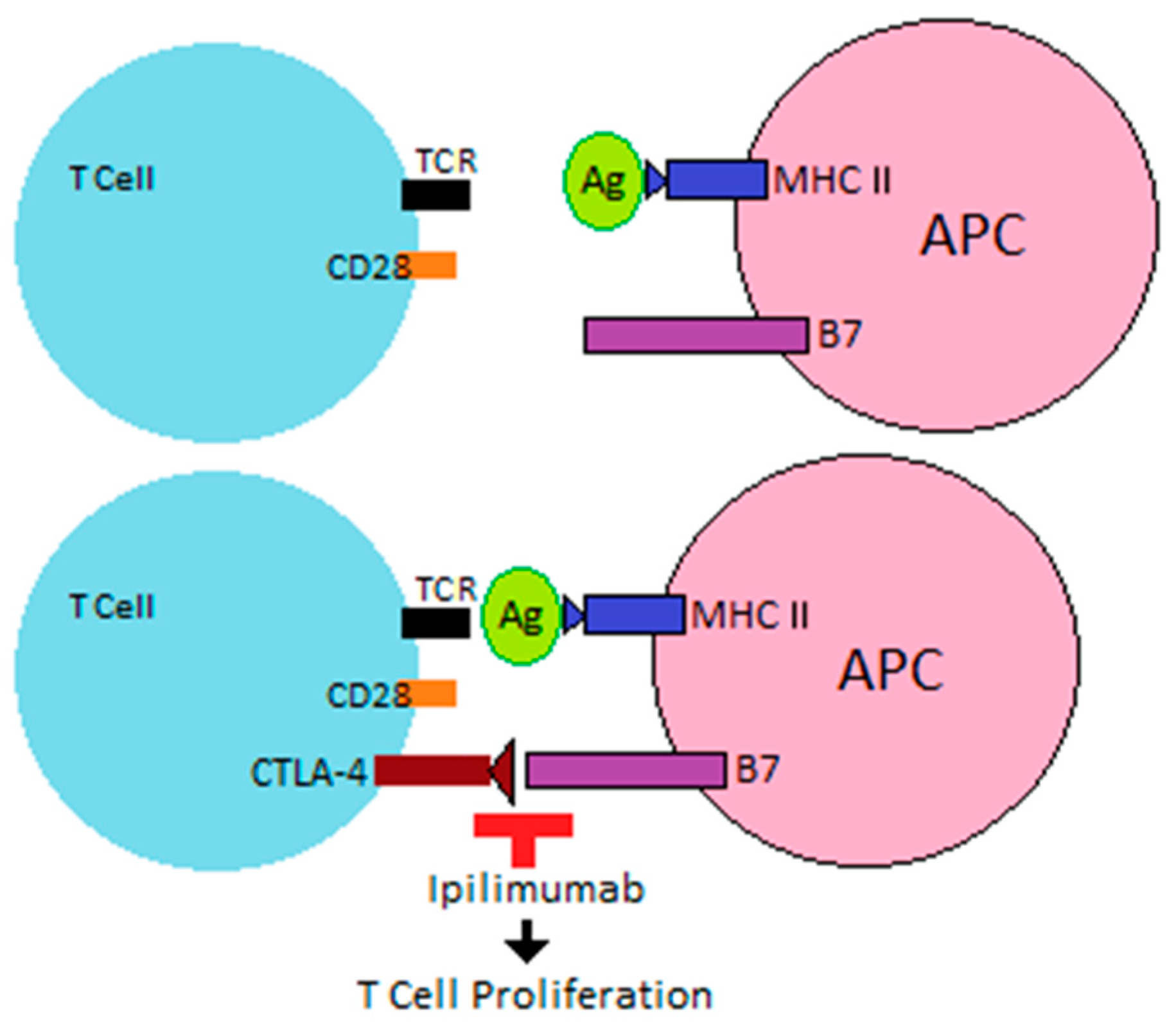 Ijms 22 06716 g001 550