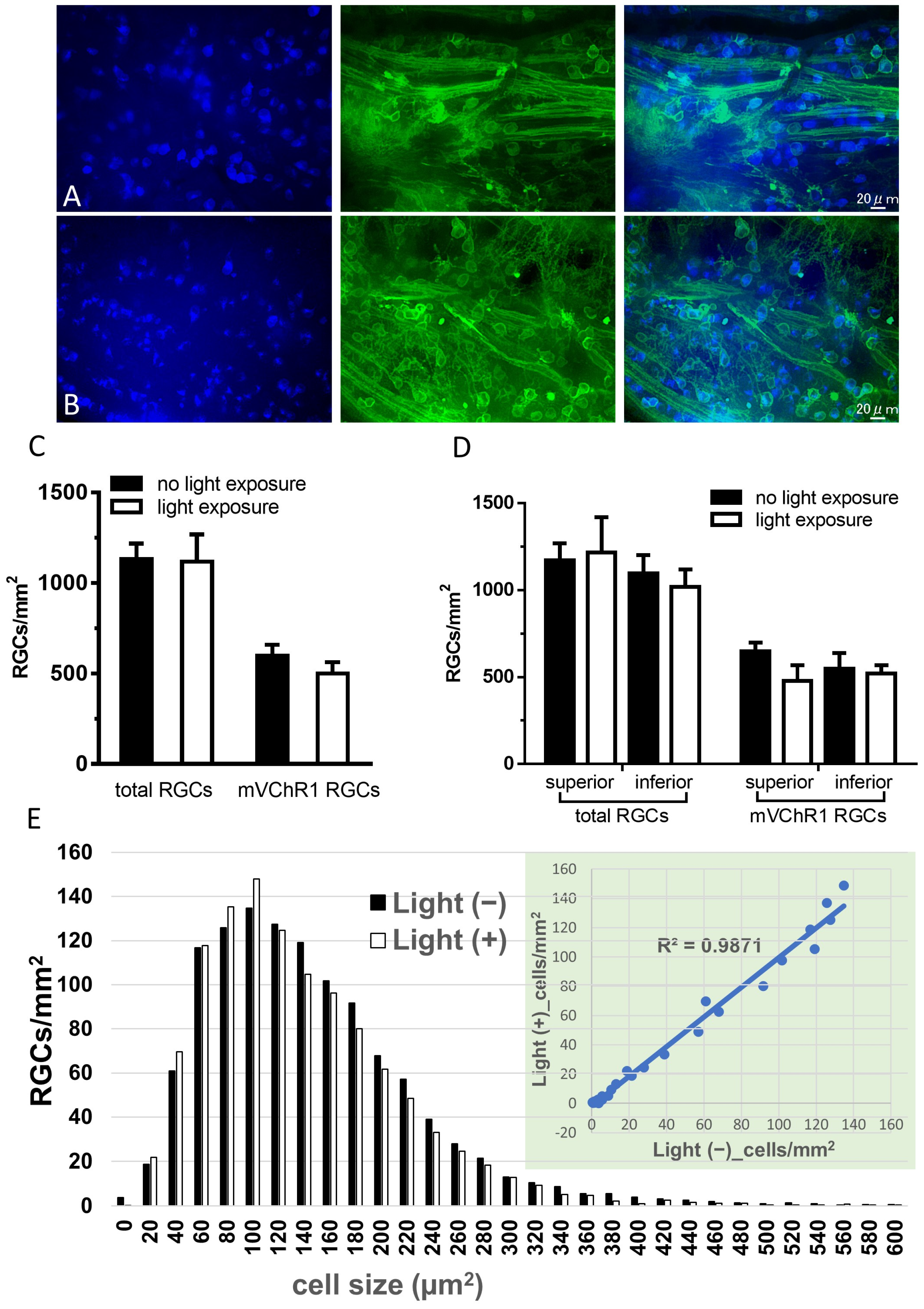 Ijms 22 06732 g003 Ijms 22 06732 g003