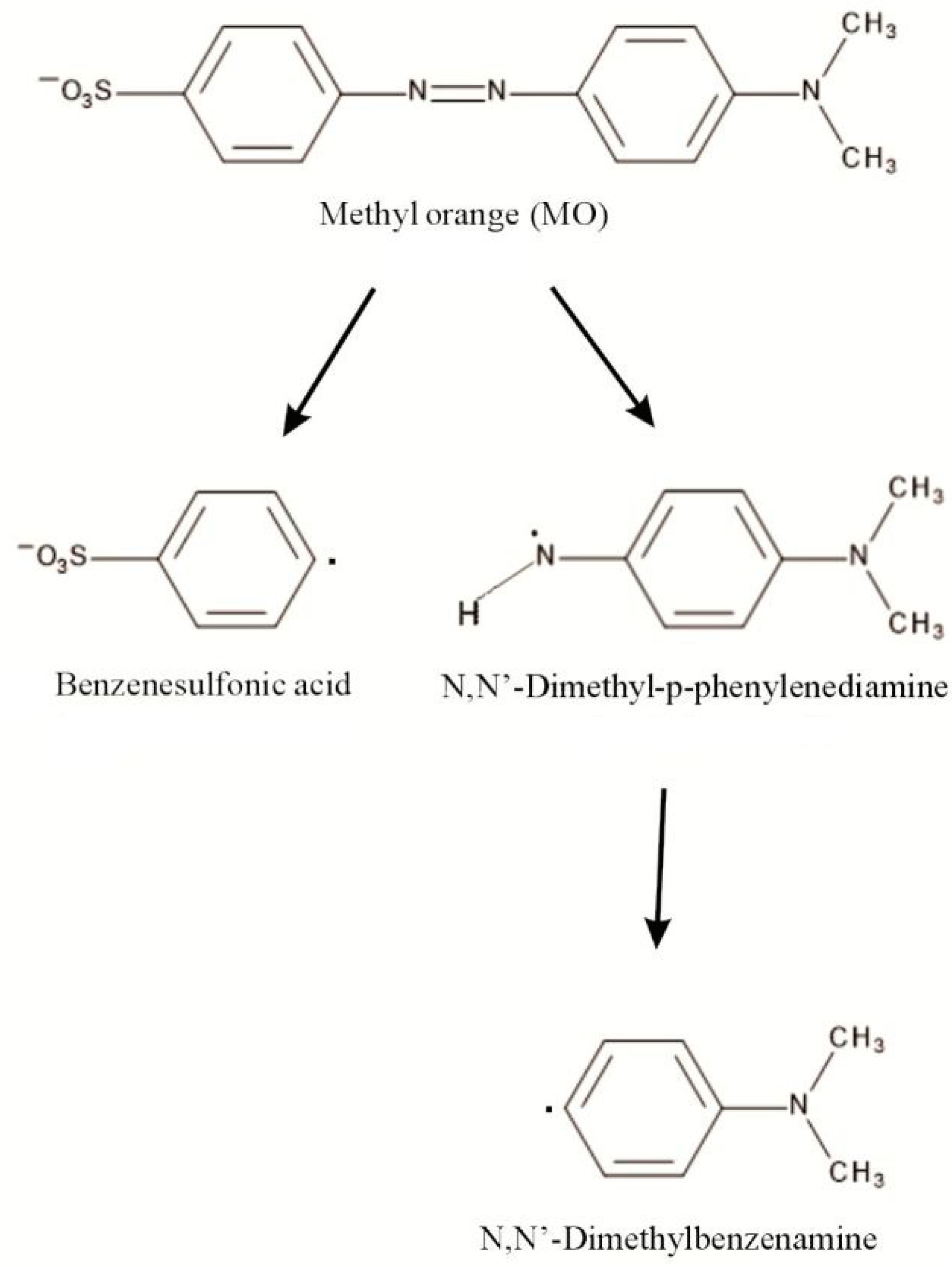 Ijms 22 06734 g010 Ijms 22 06734 g010