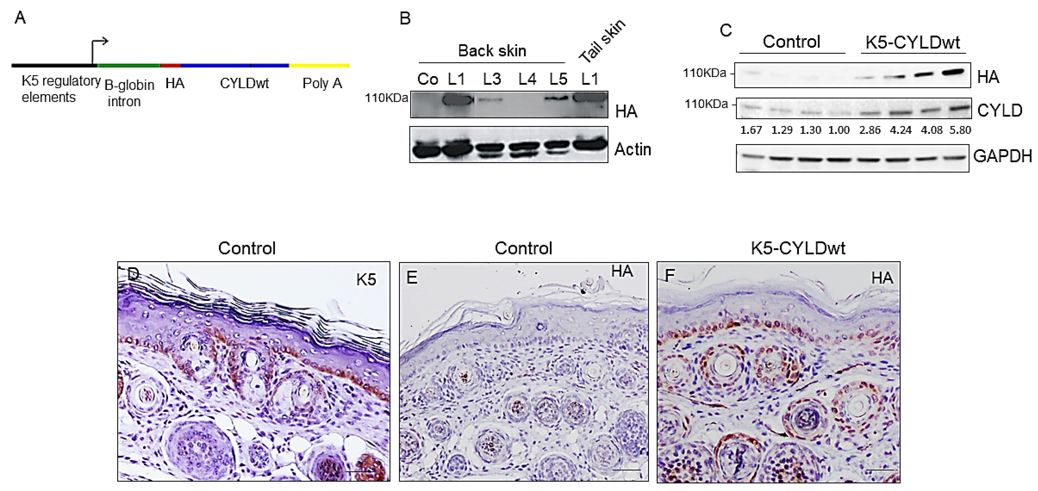 Ijms 22 06736 g001 550