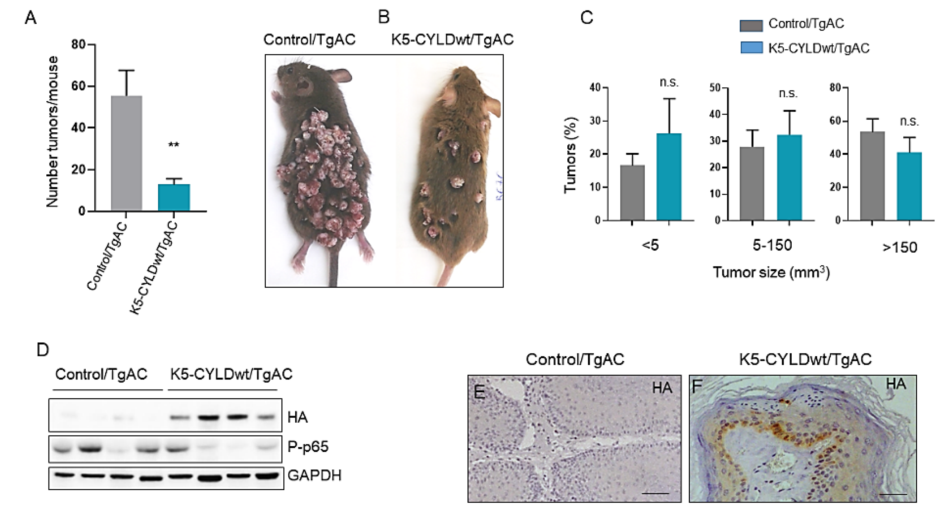 Ijms 22 06736 g005 550