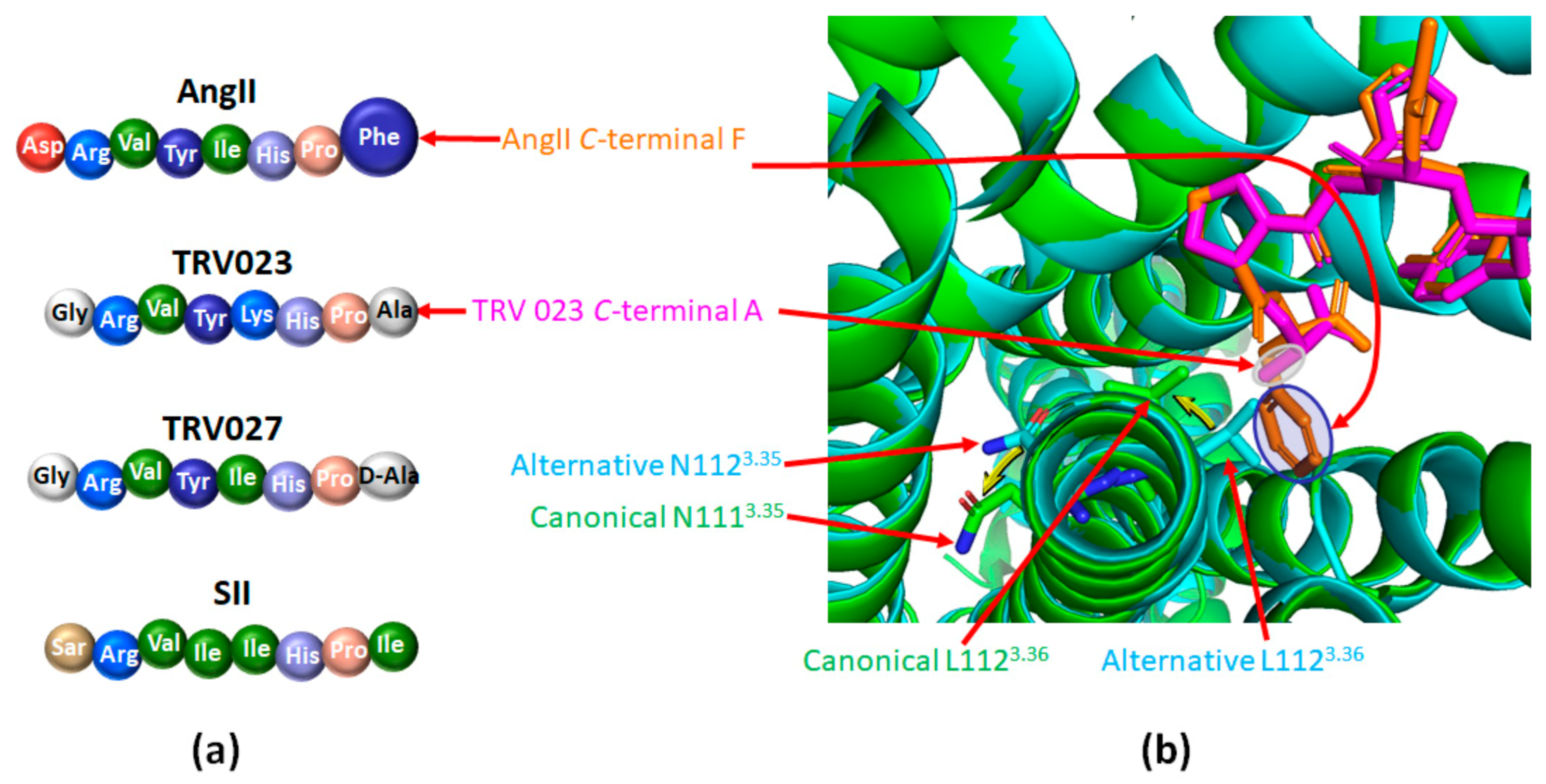 Ijms 22 06738 g006 Ijms 22 06738 g006