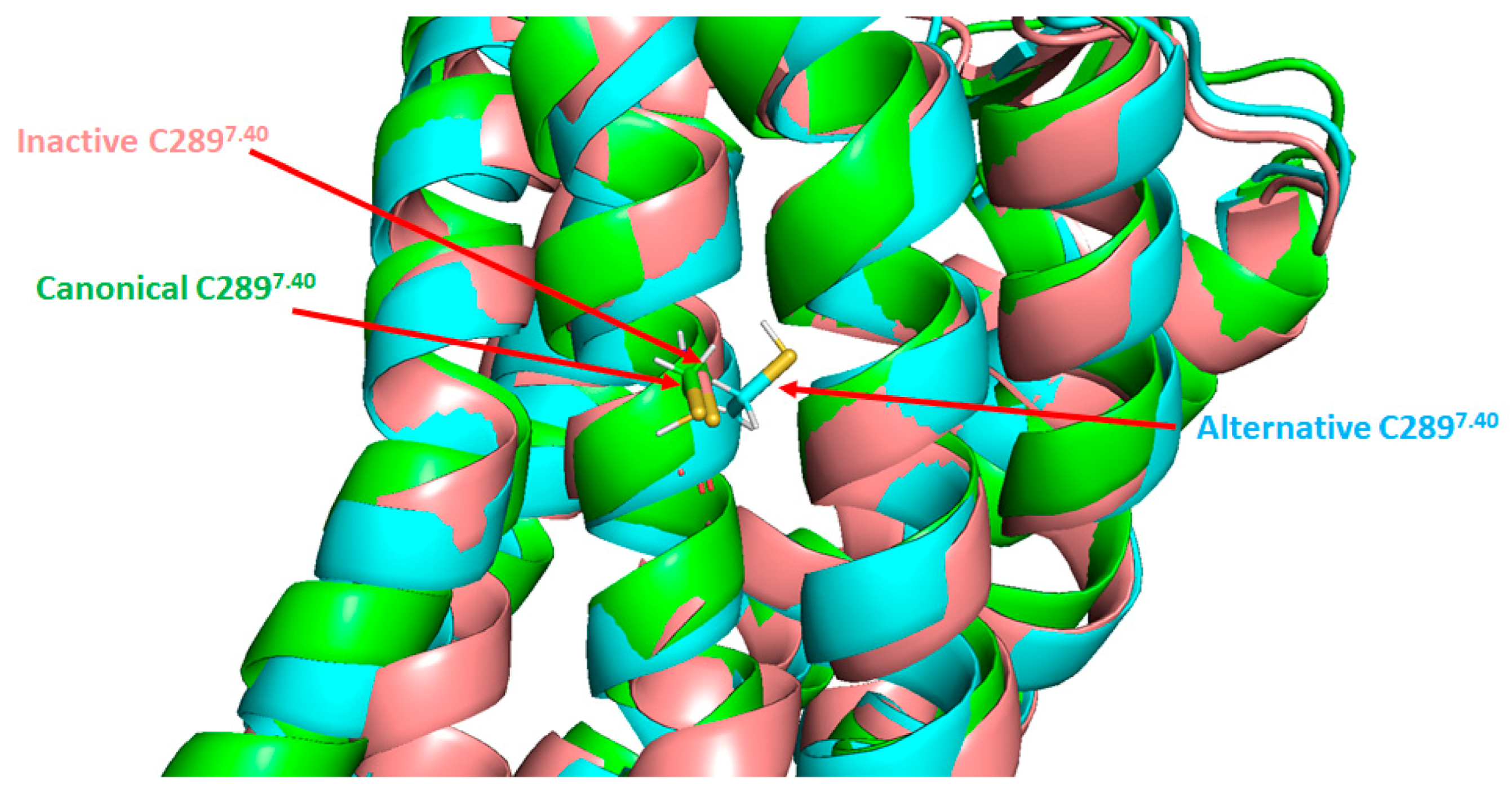 Ijms 22 06738 g007 Ijms 22 06738 g007