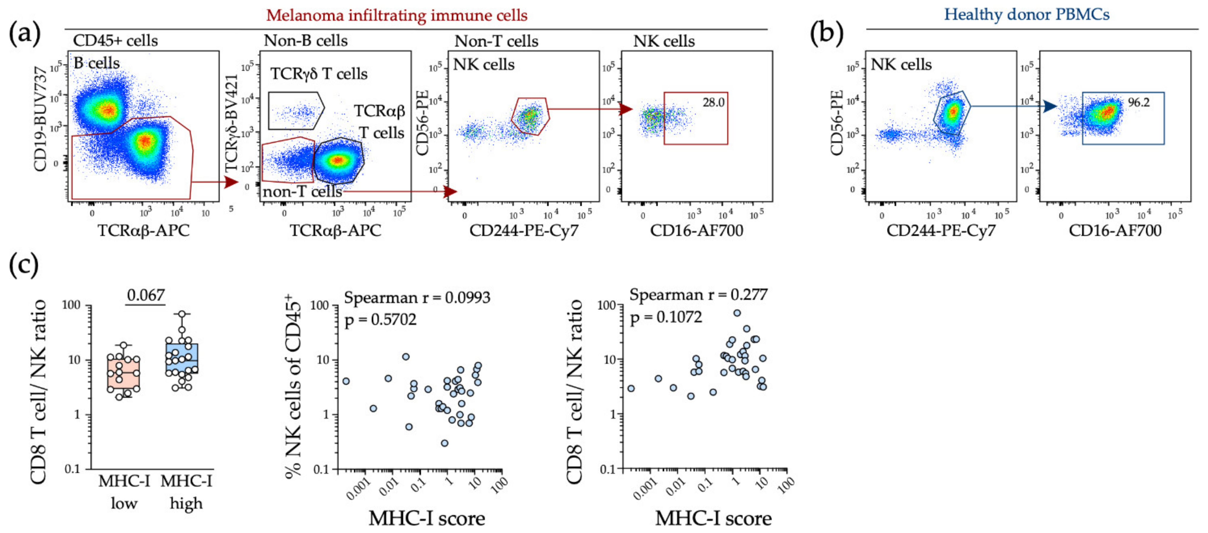 Ijms 22 06741 g003 550