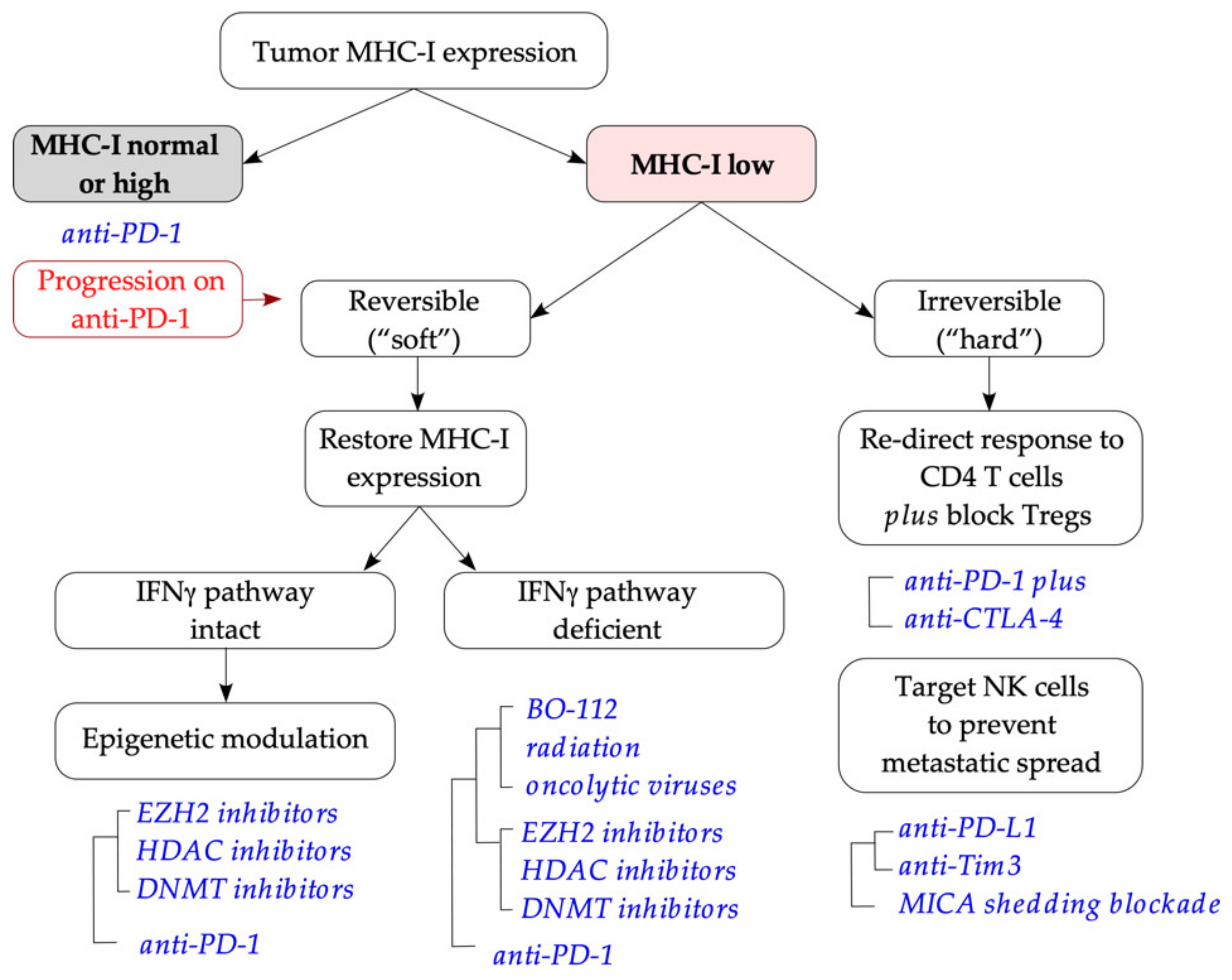 Ijms 22 06741 g004 550