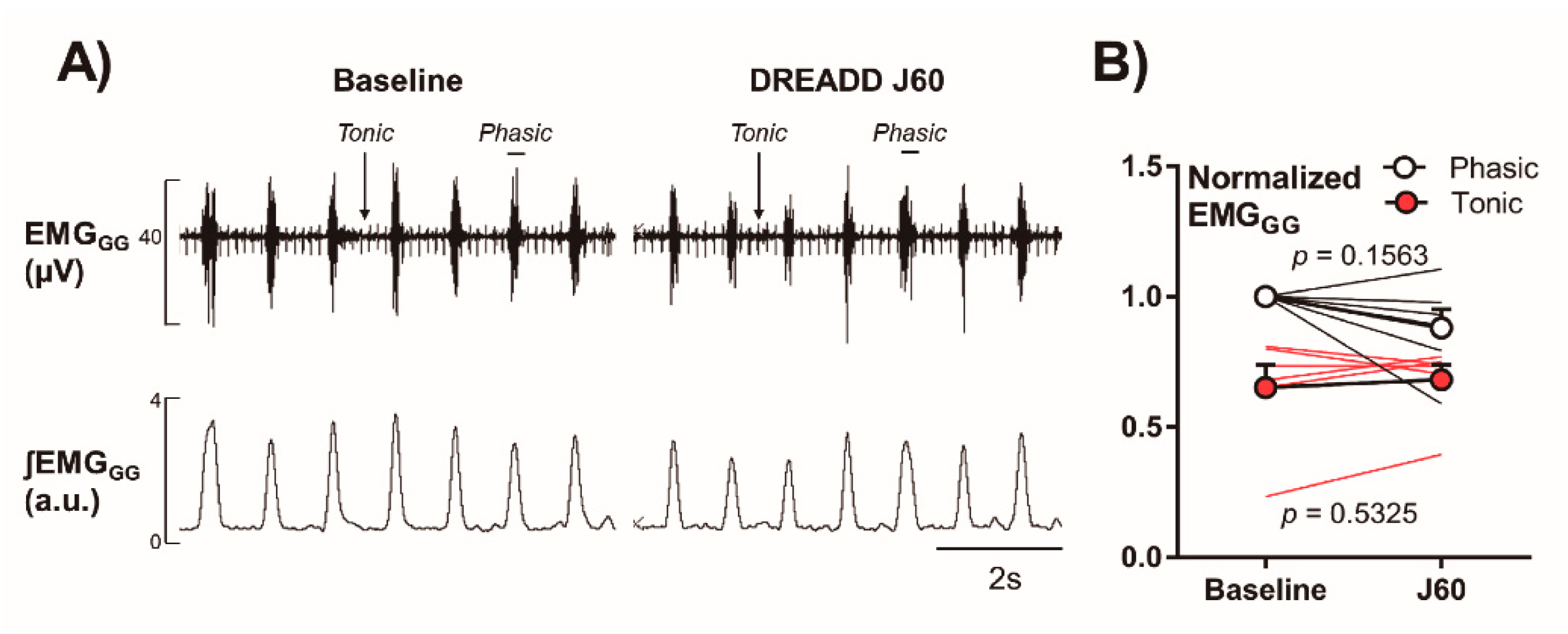 Ijms 22 06742 g007 550