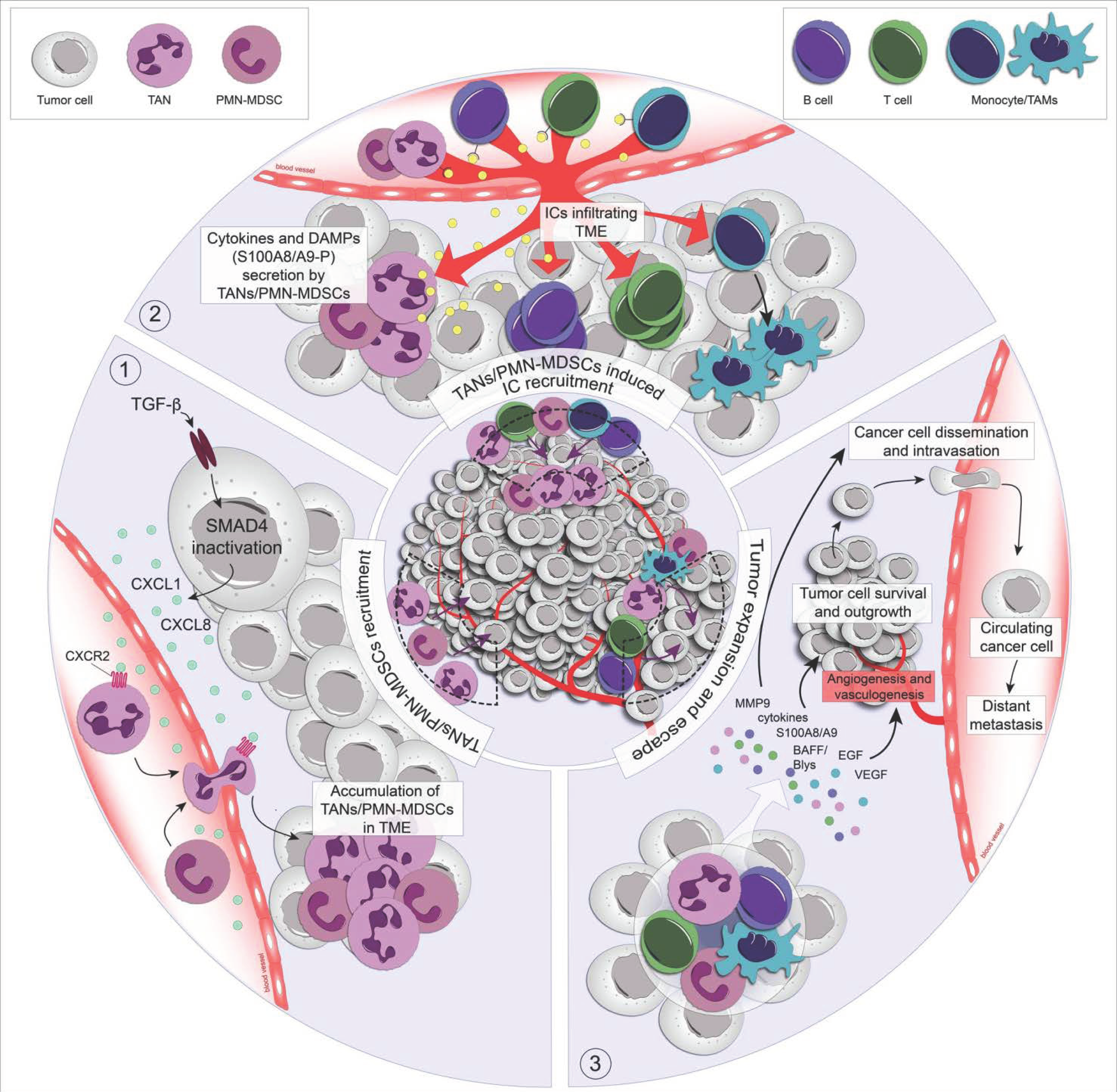 Ijms 22 06744 g001 550