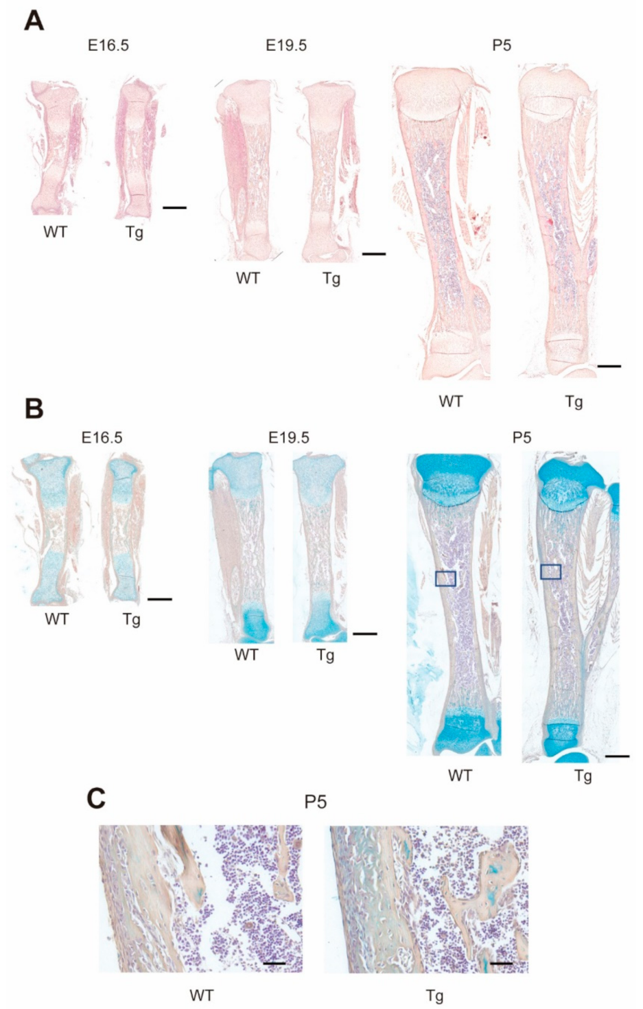 Ijms 22 06745 g001 550