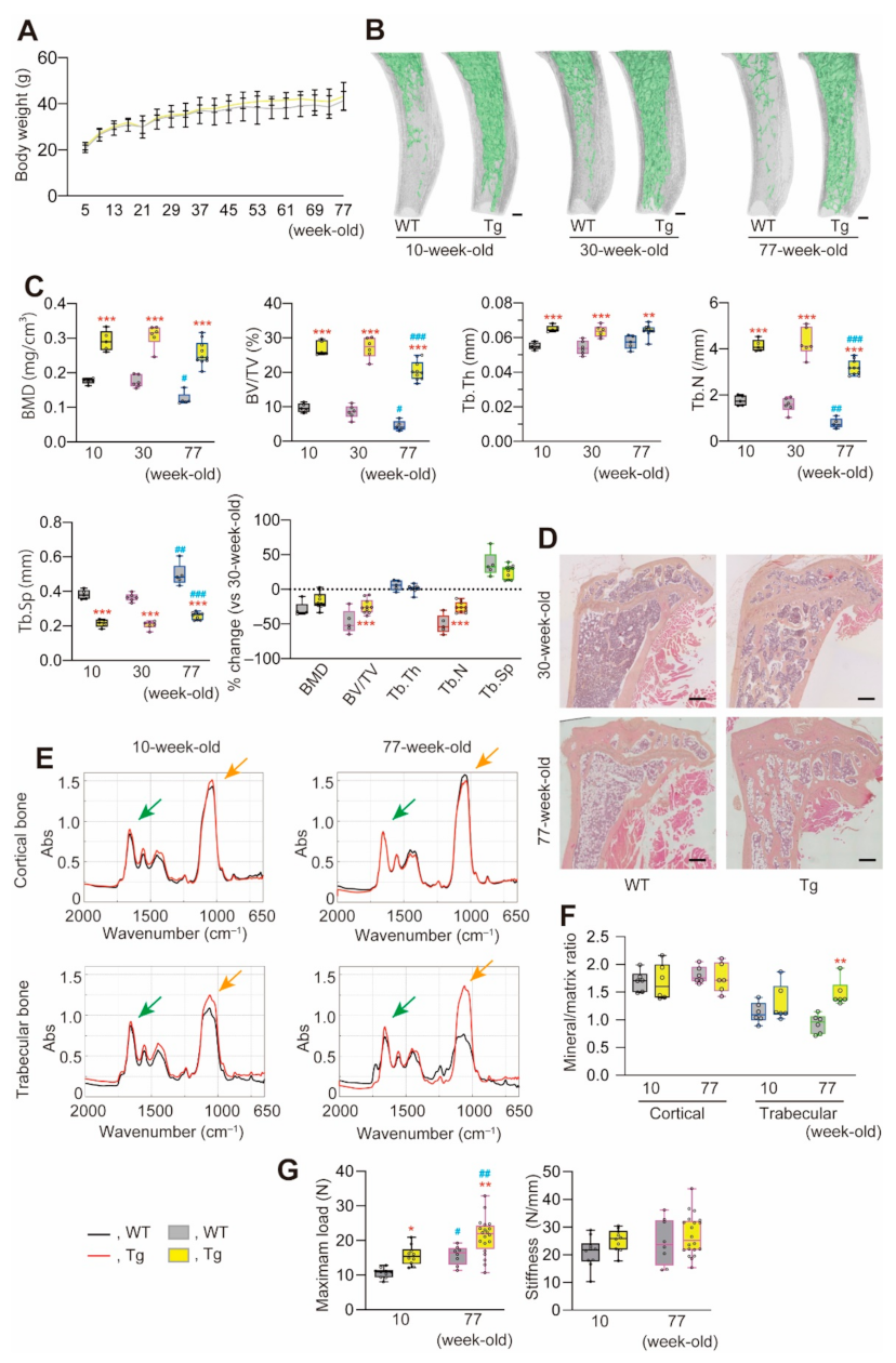 Ijms 22 06745 g003 550