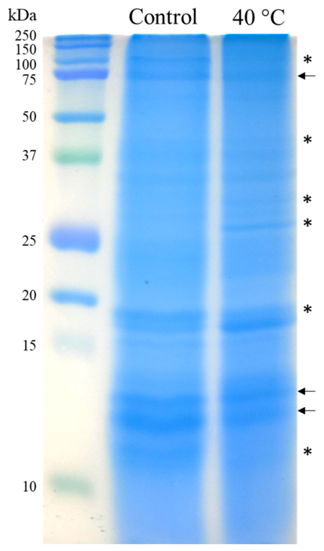 Ijms 22 06750 g0a1 550
