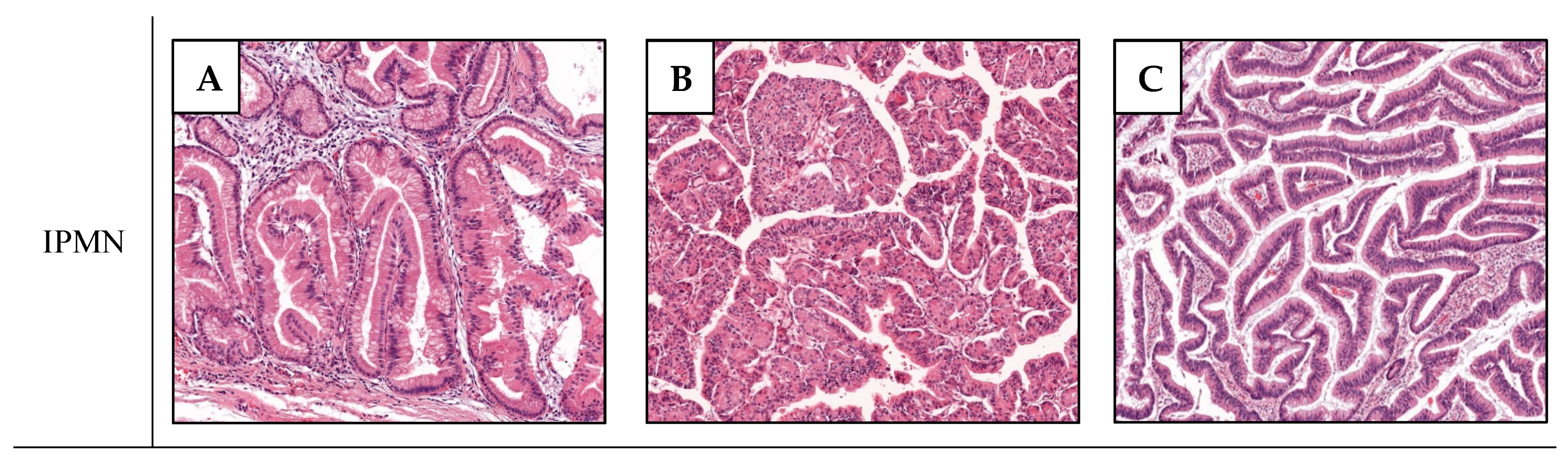 Ijms 22 06756 g001a 550