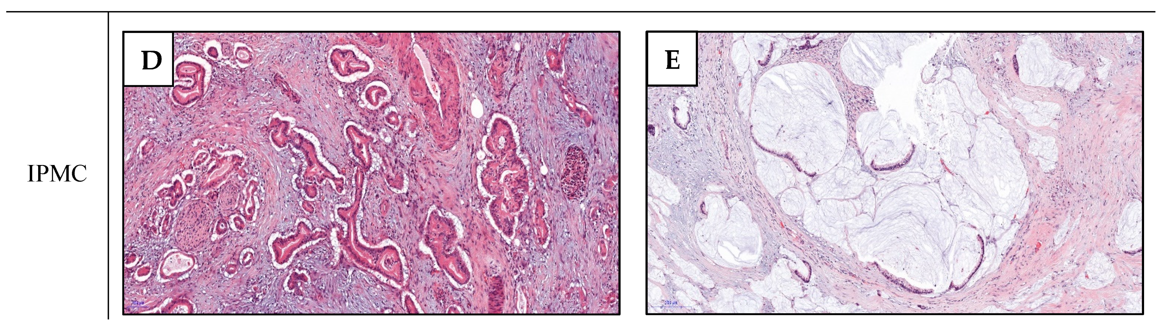 Ijms 22 06756 g001b 550