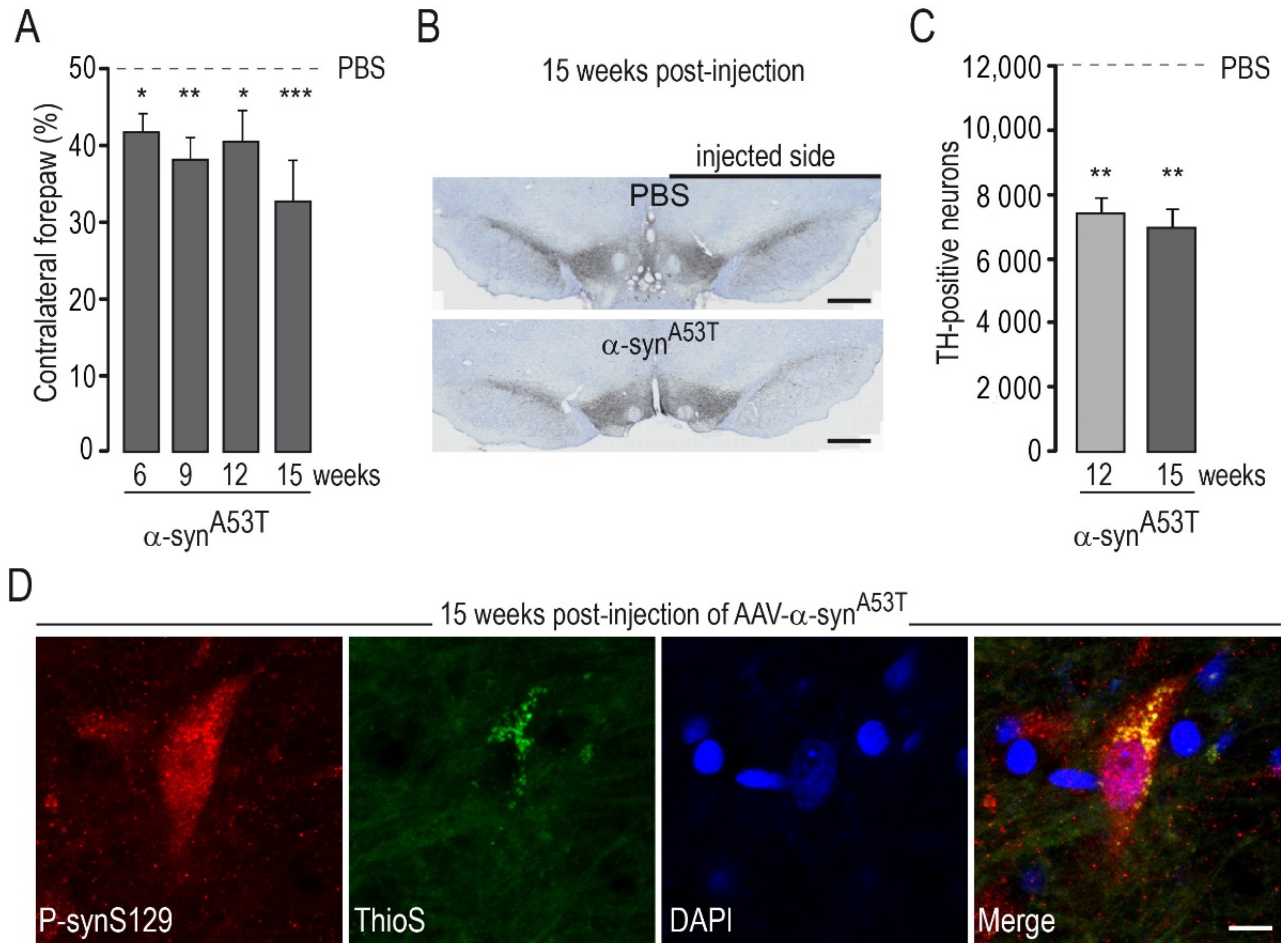 Ijms 22 06760 g002 550
