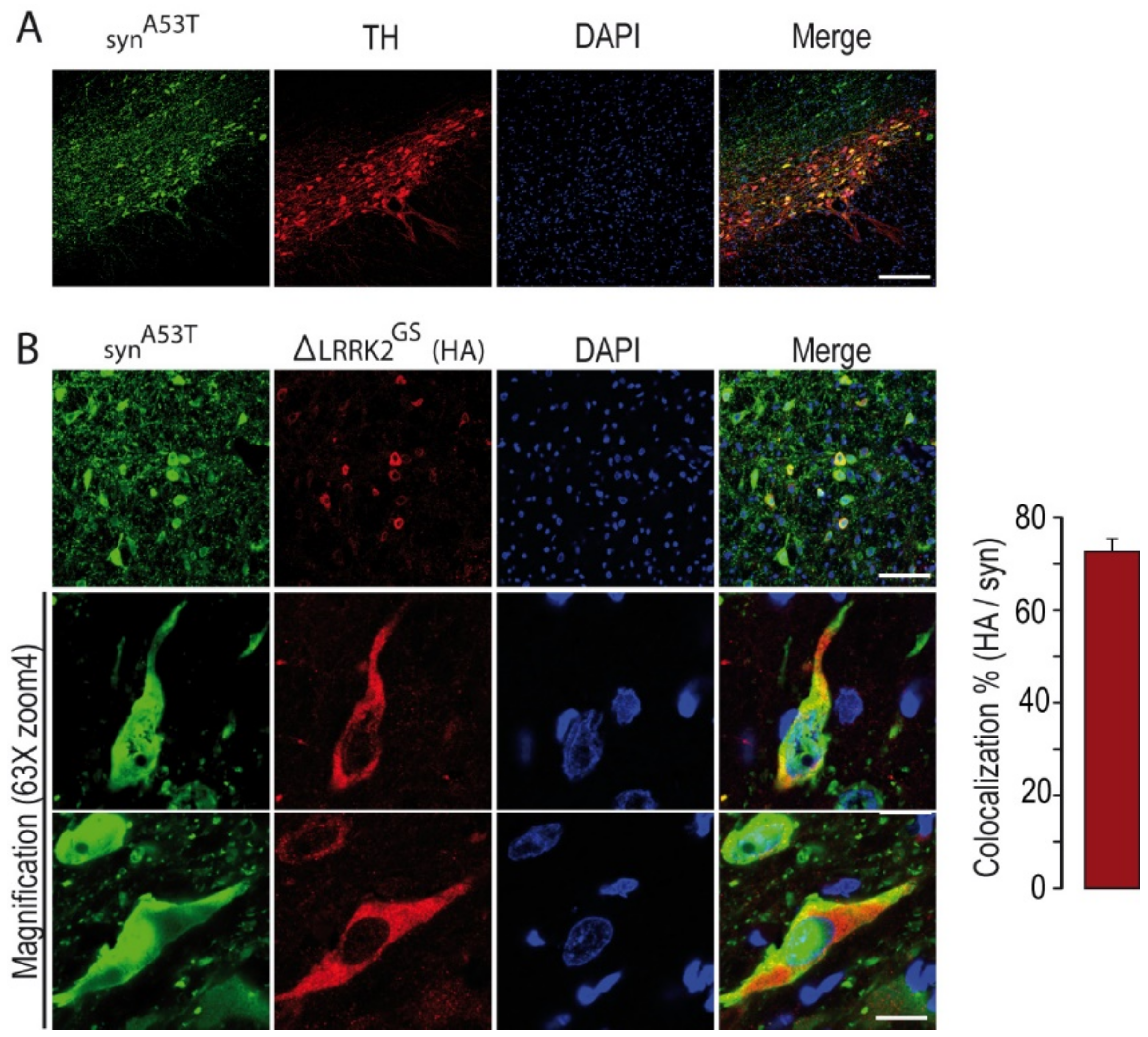 Ijms 22 06760 g003 550