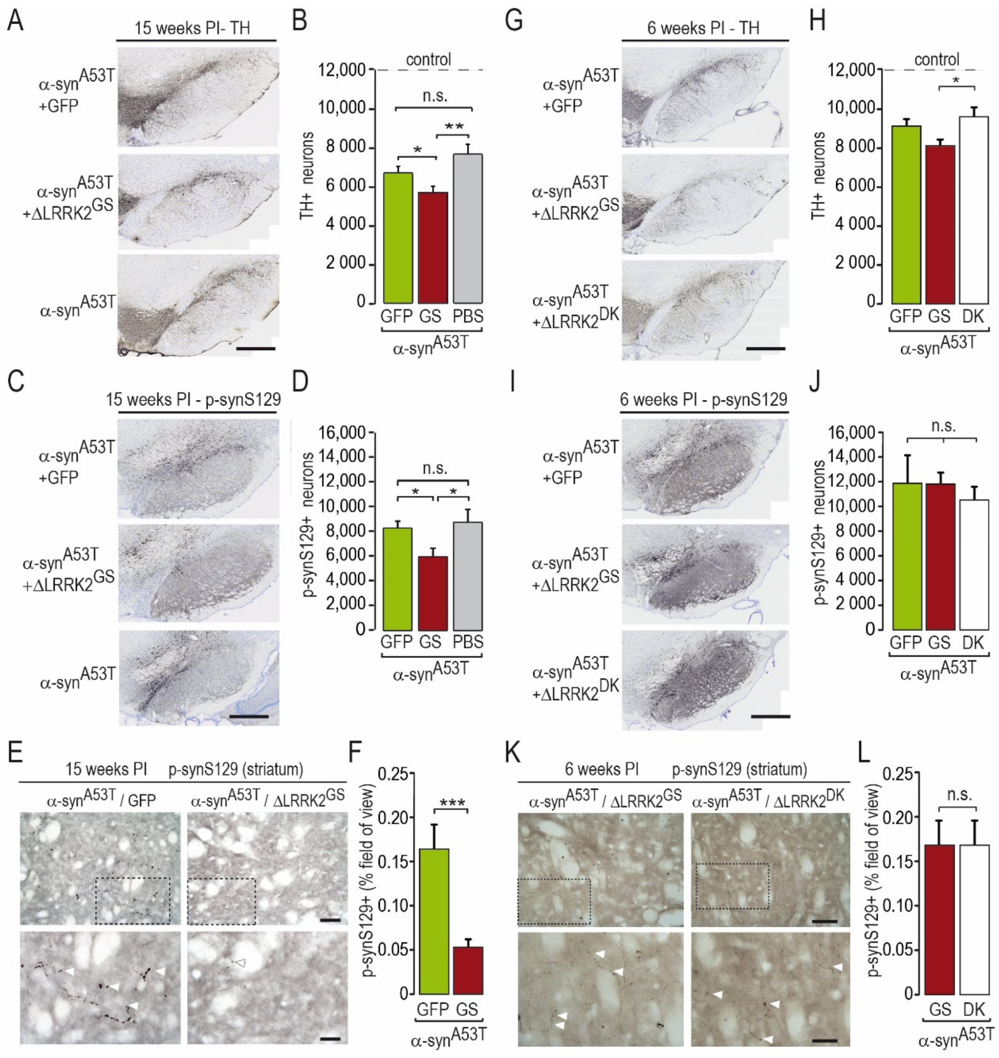 Ijms 22 06760 g005 550