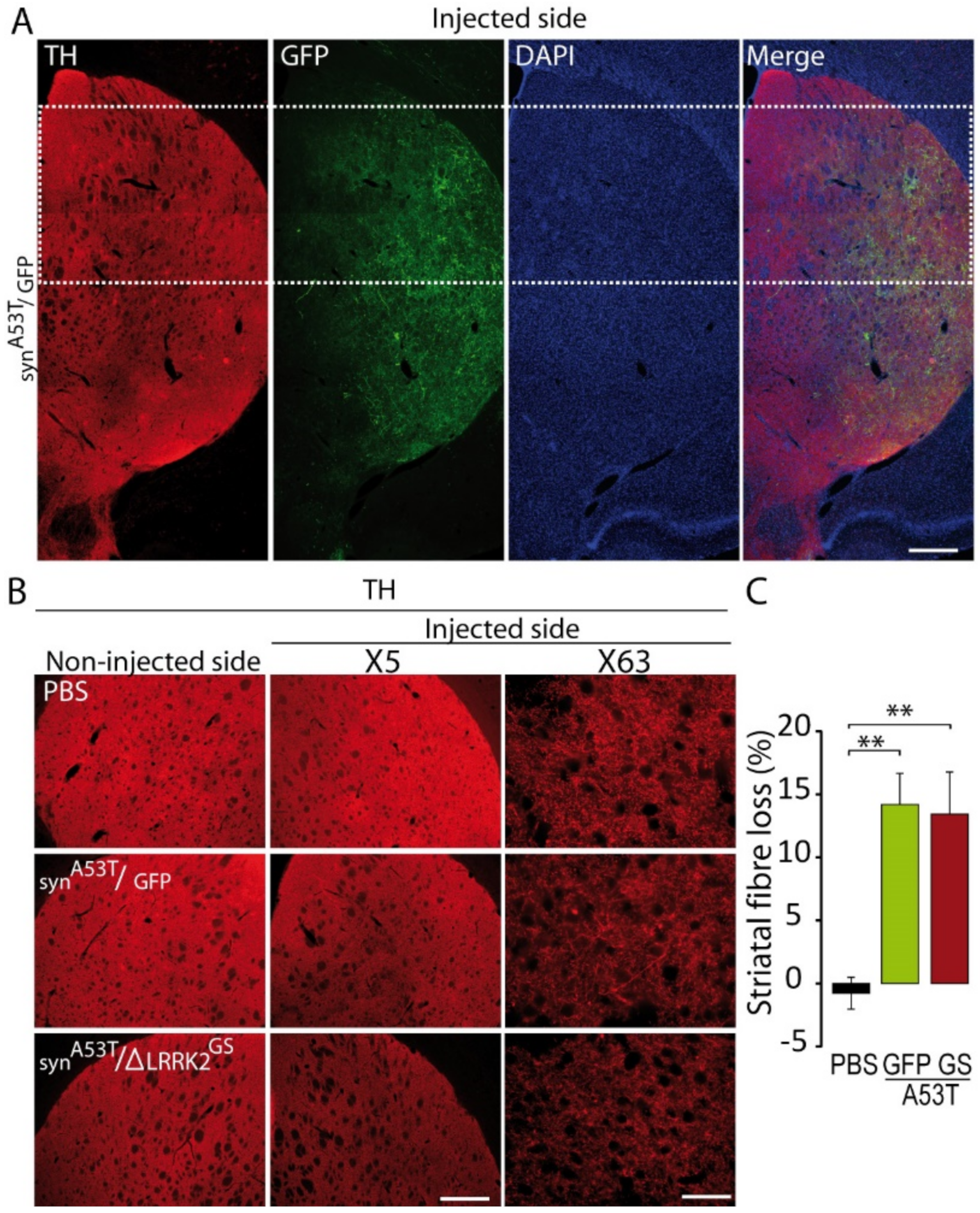 Ijms 22 06760 g006 550