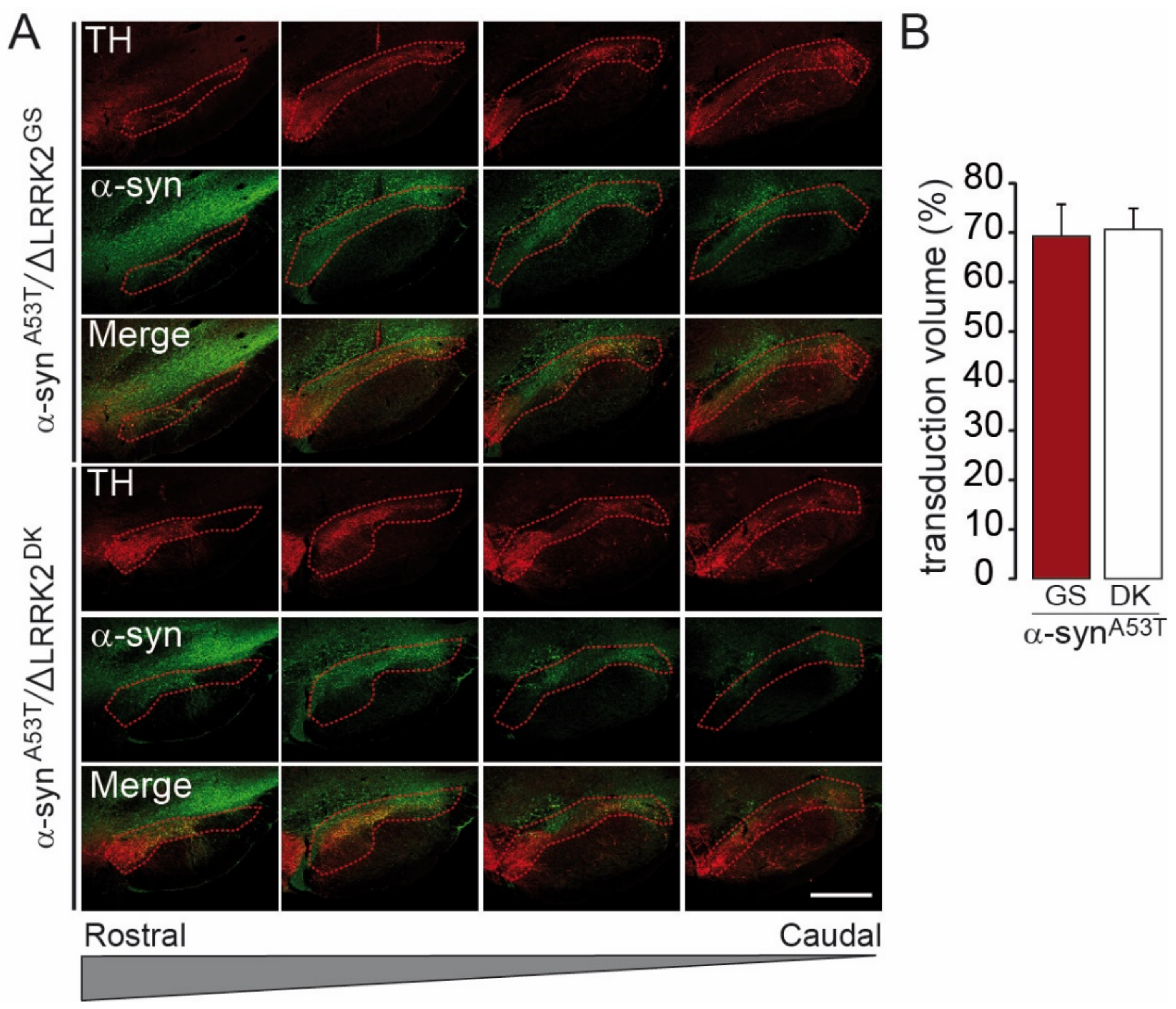 Ijms 22 06760 g007 550