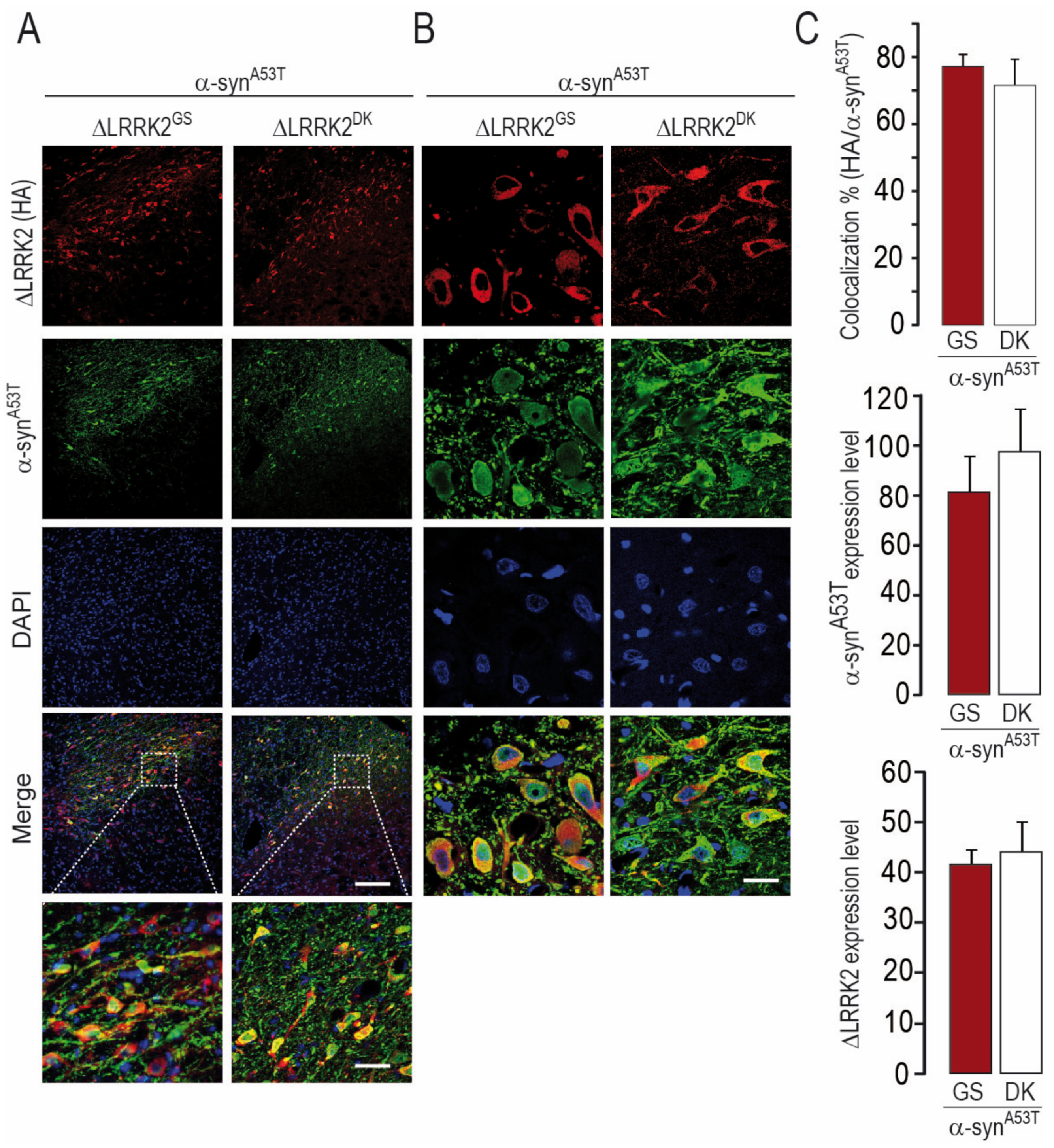 Ijms 22 06760 g008 550
