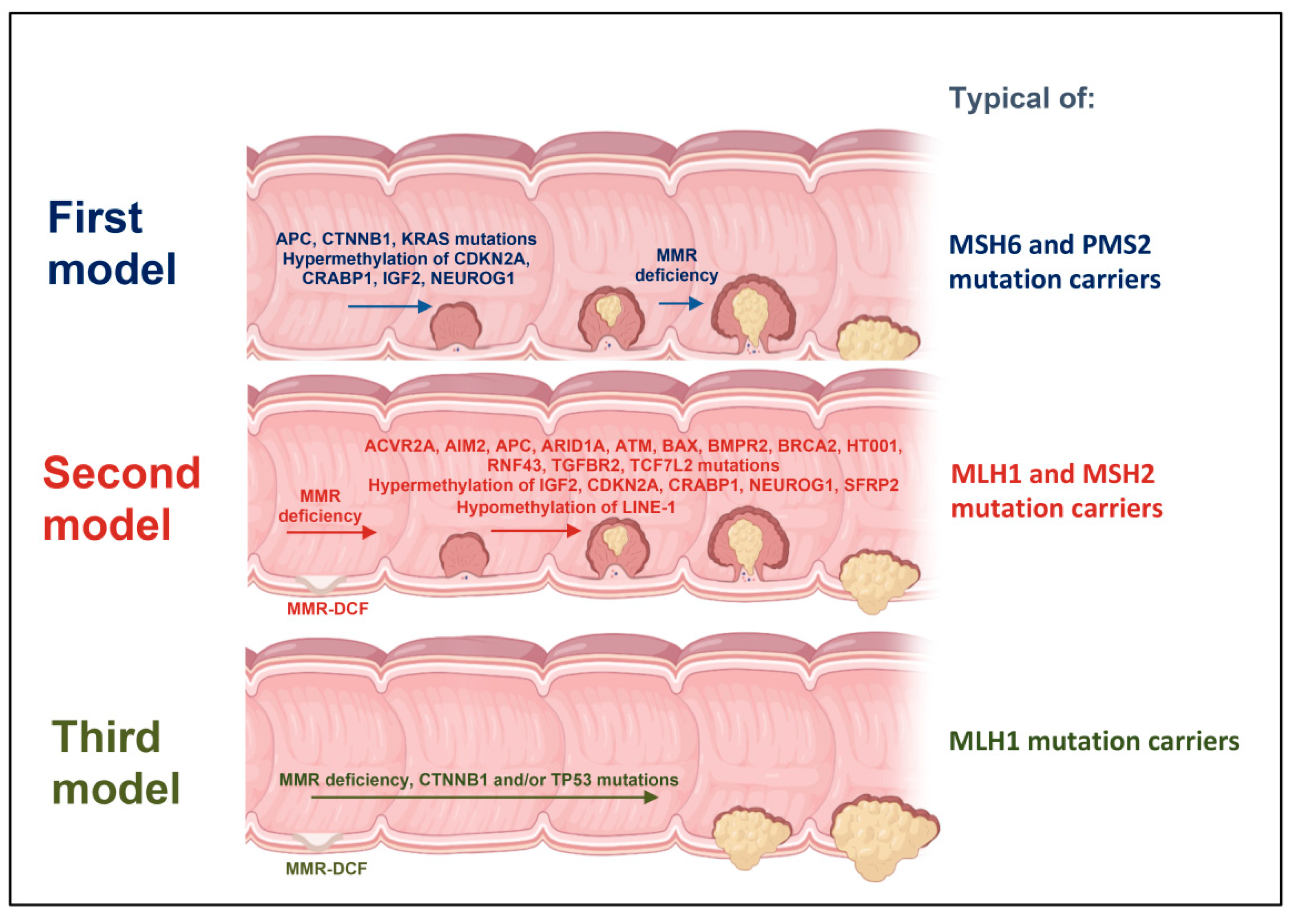 Ijms 22 06767 g002 550