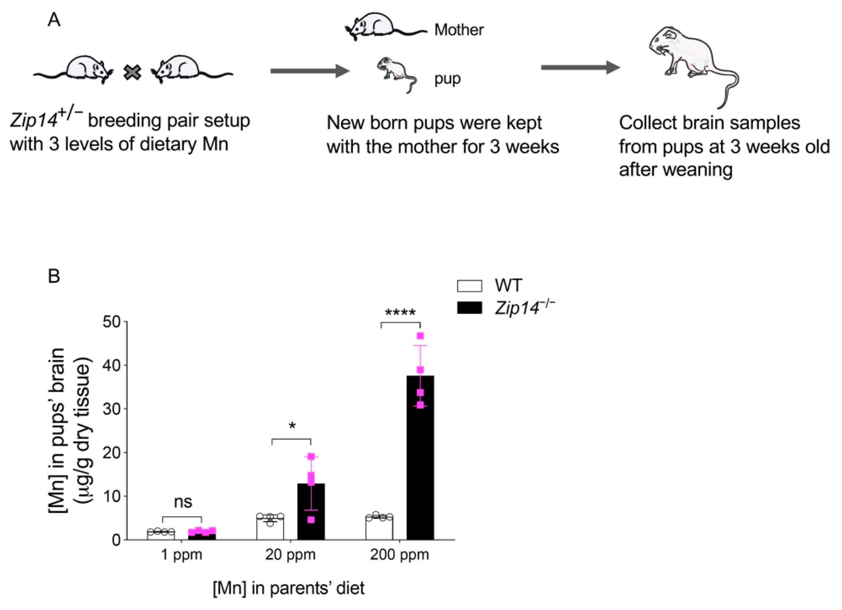 Ijms 22 06773 g007 550
