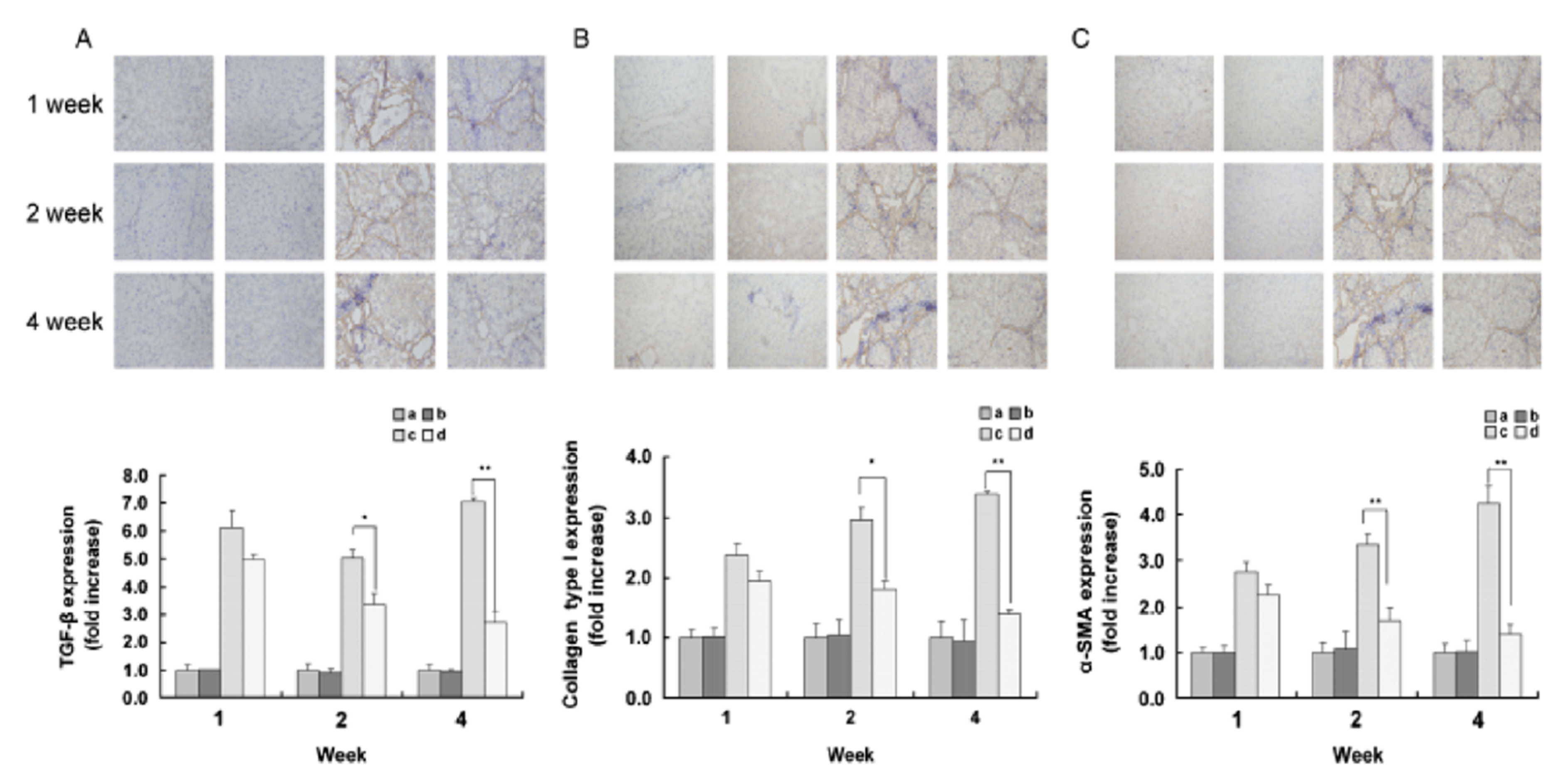 Ijms 22 06777 g002 Ijms 22 06777 g002