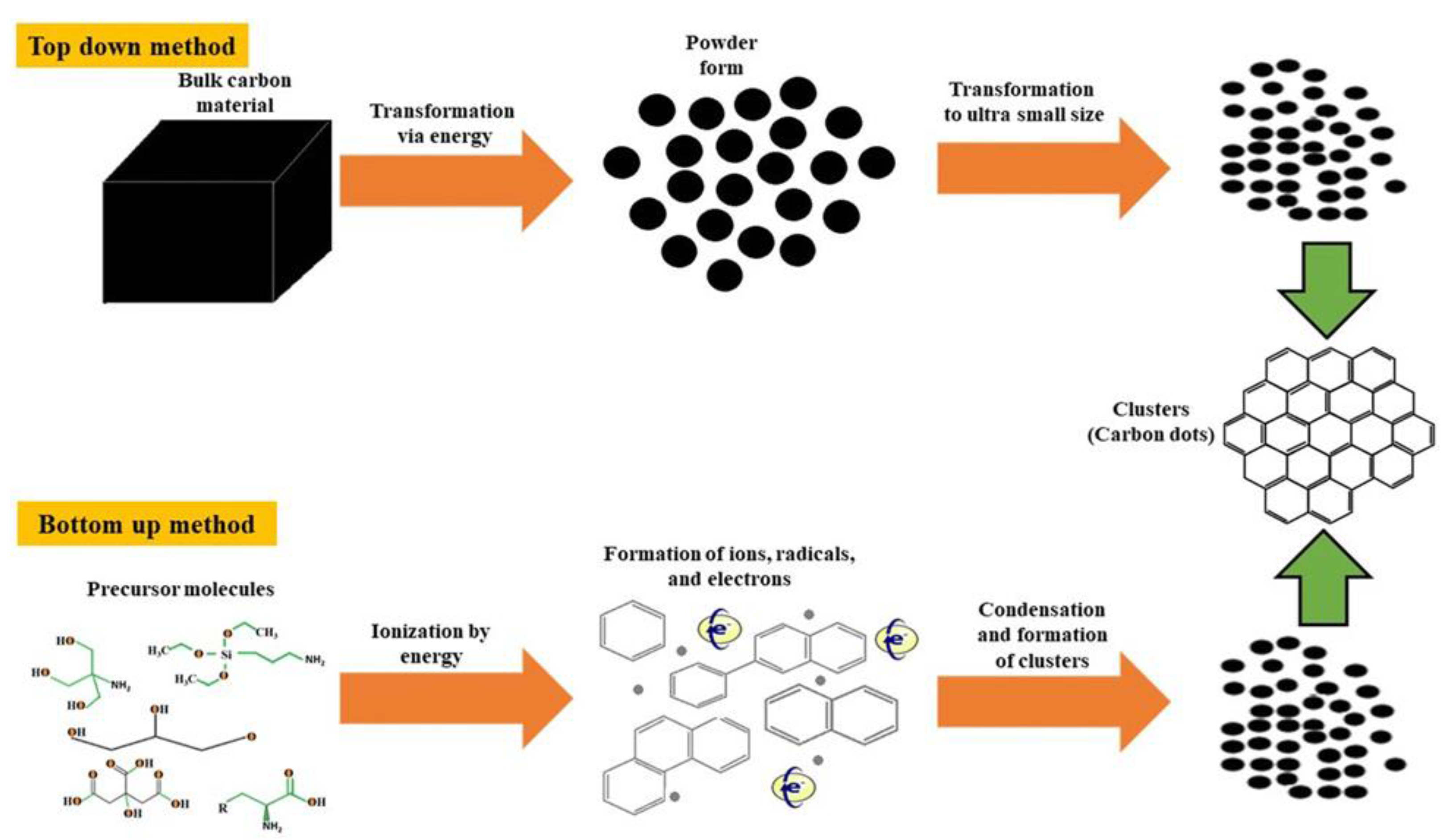 Ijms 22 06786 g002 550
