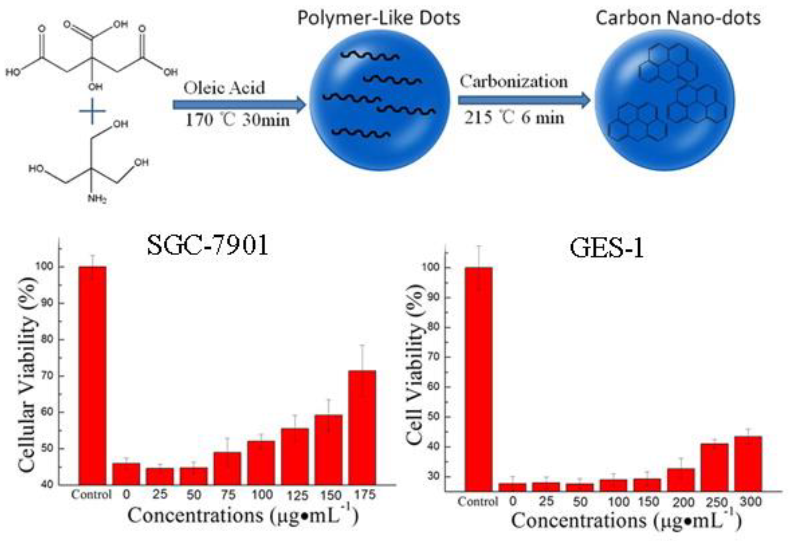 Ijms 22 06786 g006 550