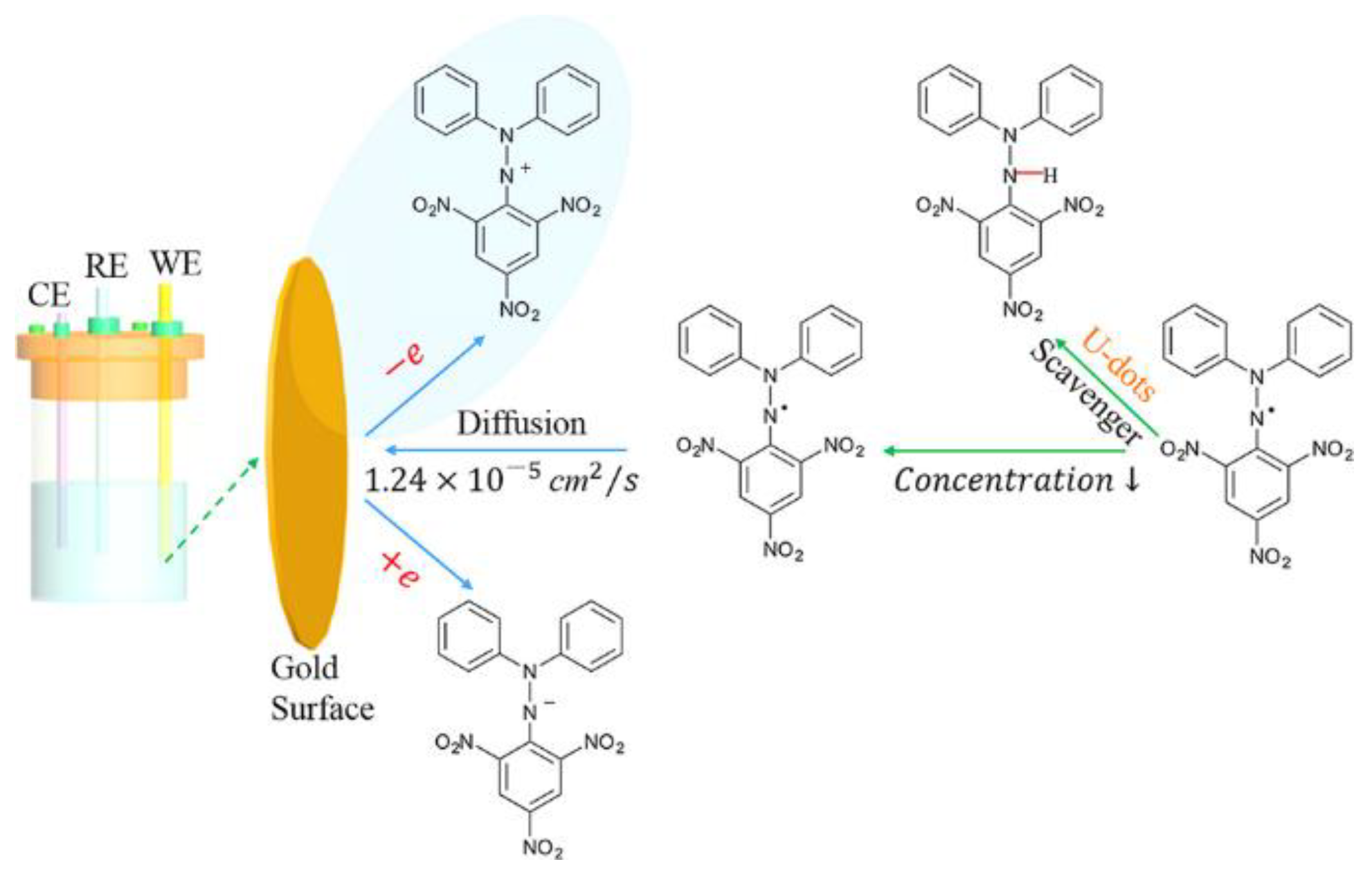 Ijms 22 06786 g008 550