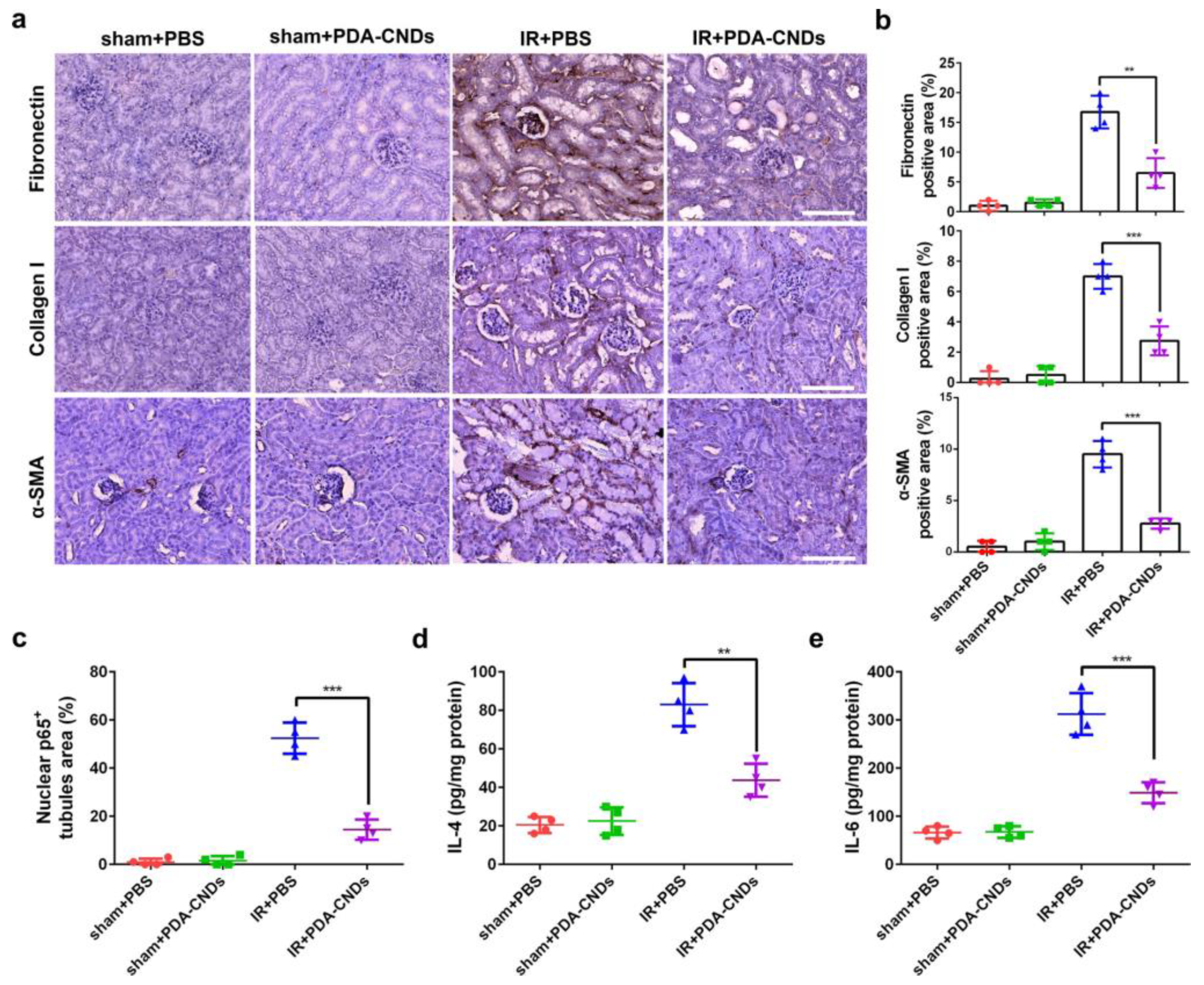 Ijms 22 06786 g009 550