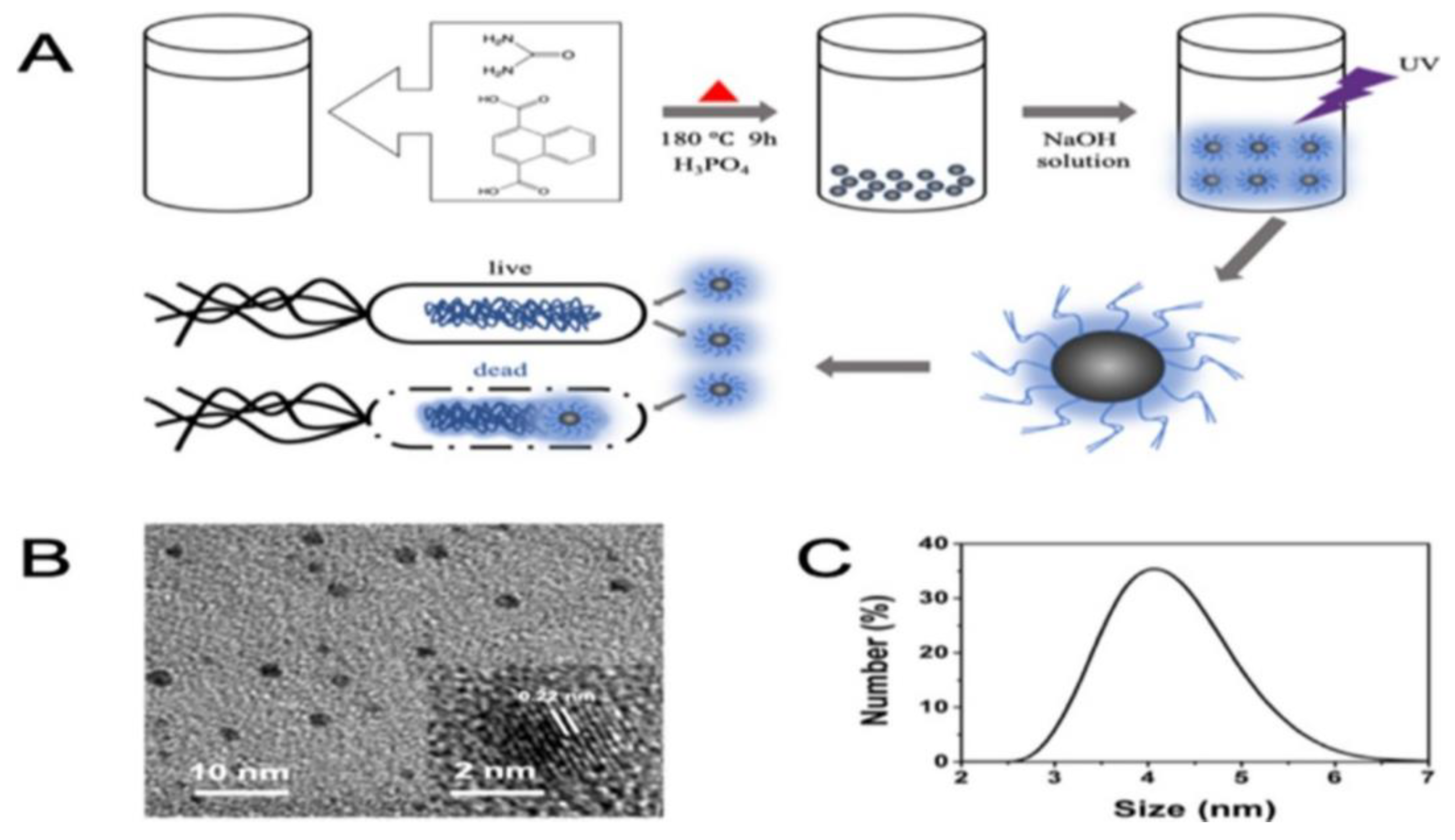 Ijms 22 06786 g012 550