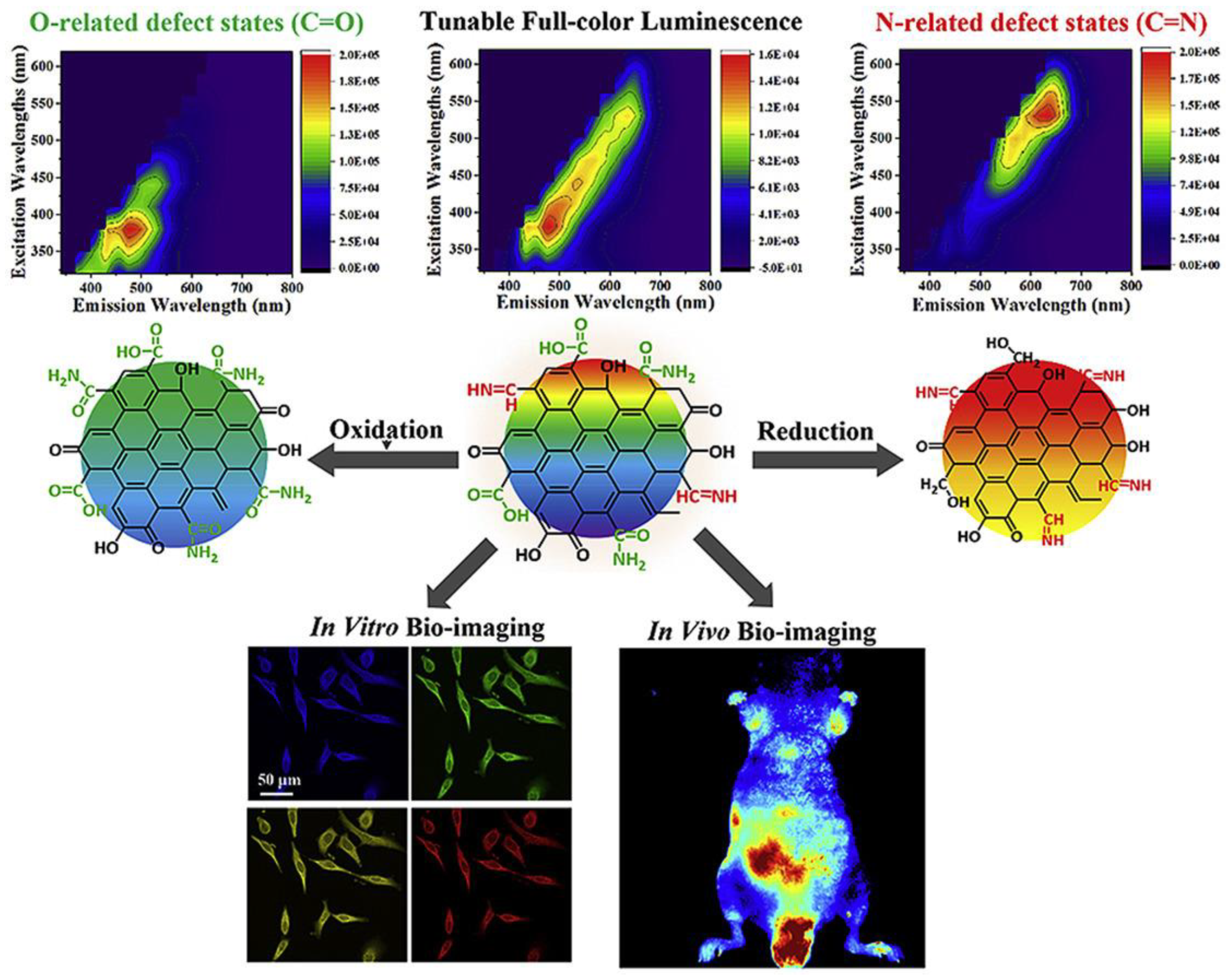 Ijms 22 06786 g013 550