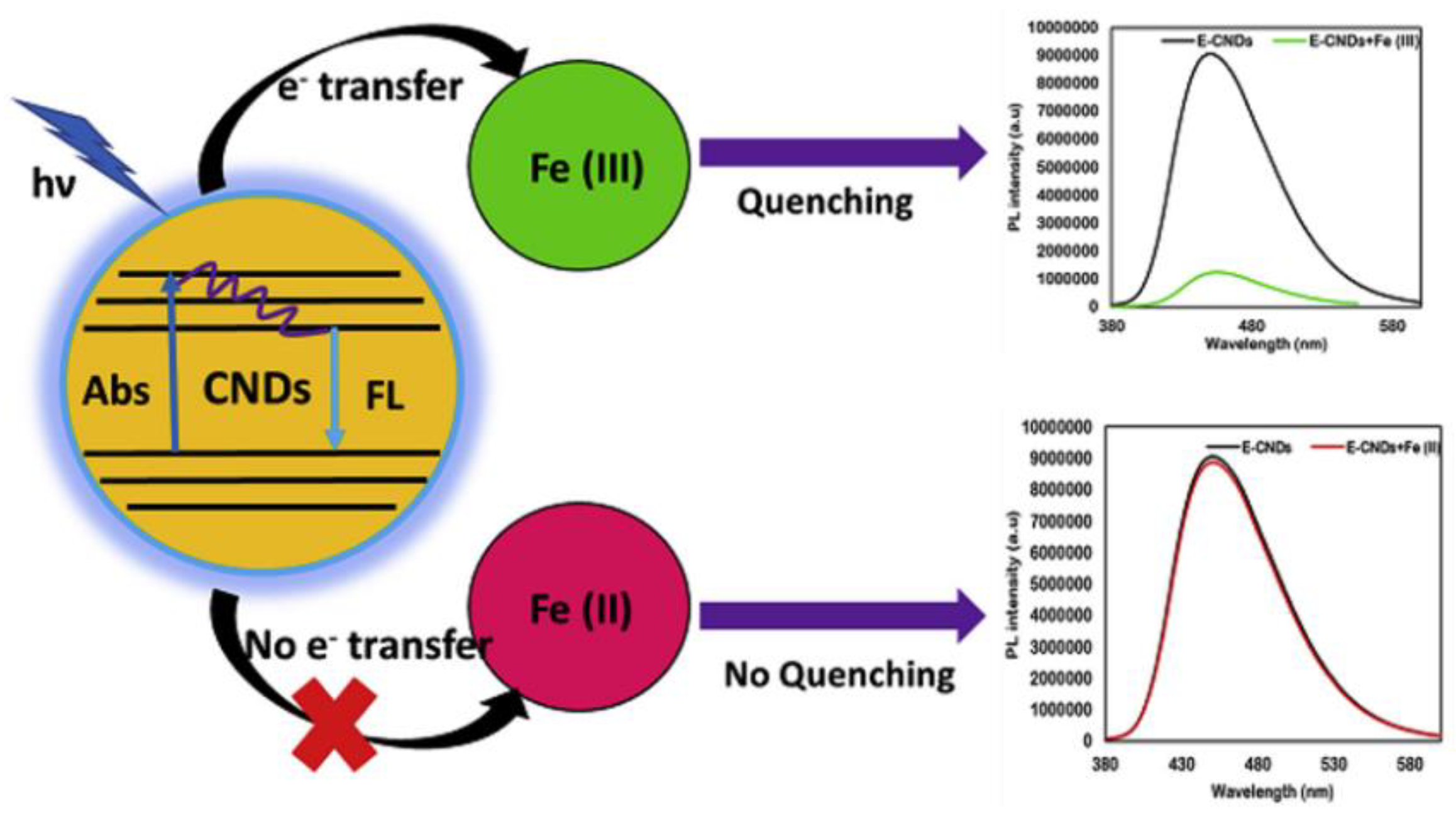 Ijms 22 06786 g014 550