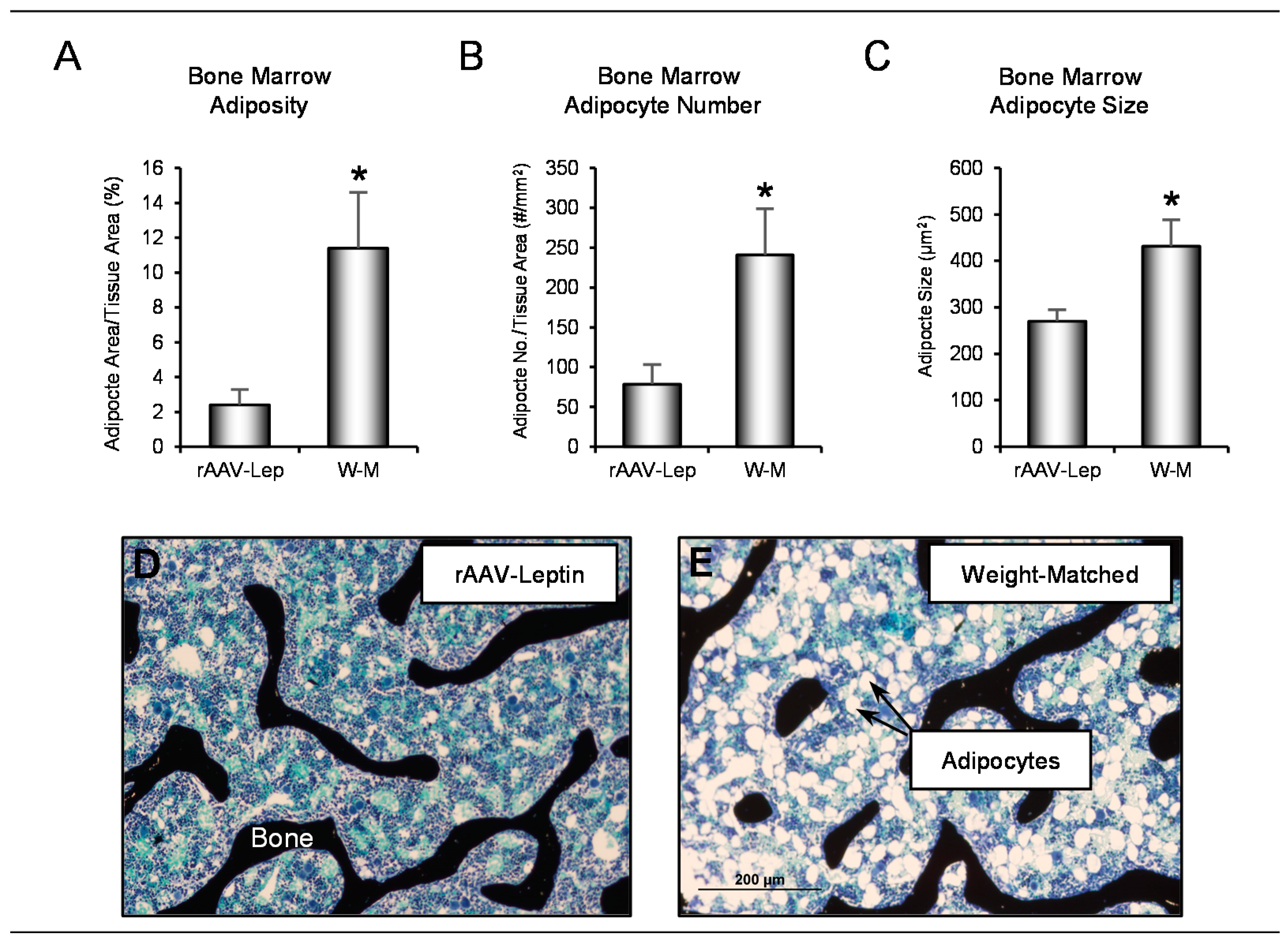 Ijms 22 06789 g003 550