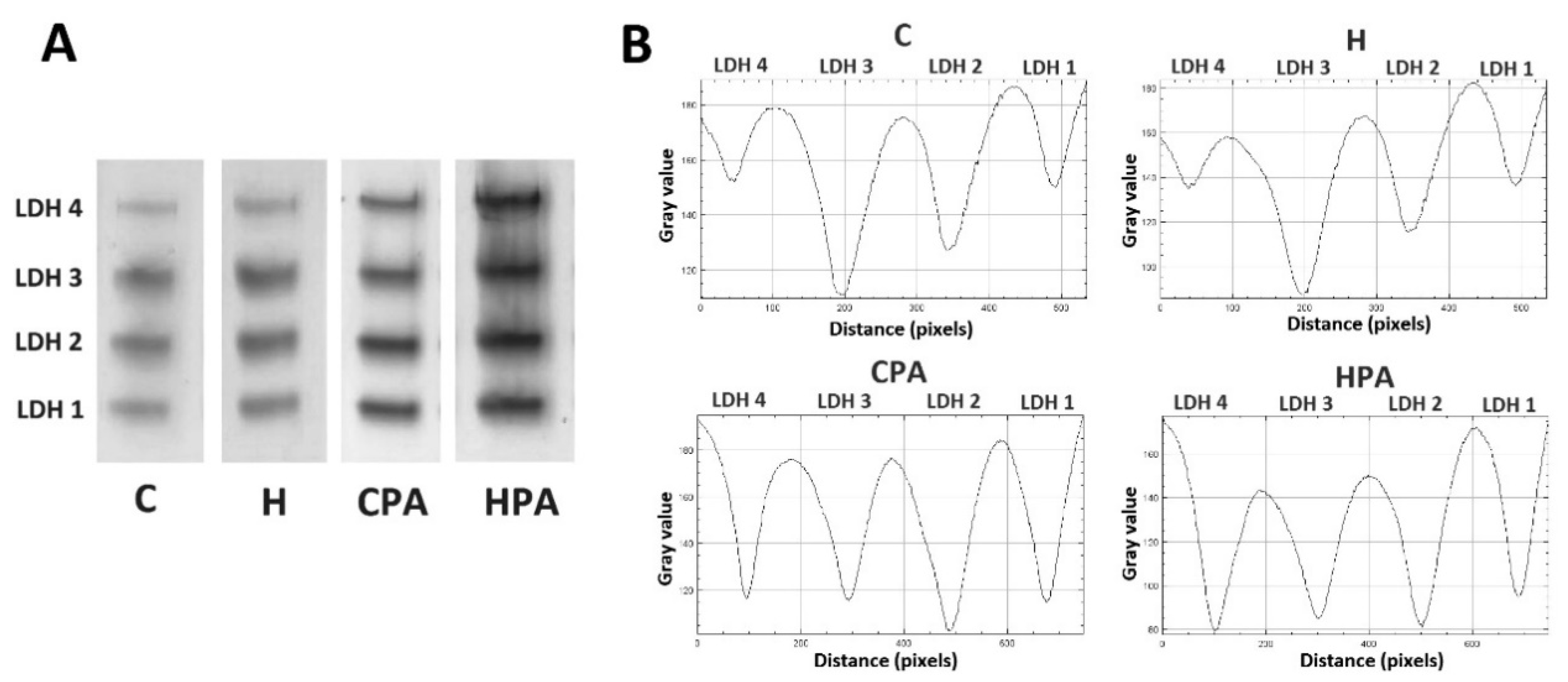 Ijms 22 06792 g003 Ijms 22 06792 g003