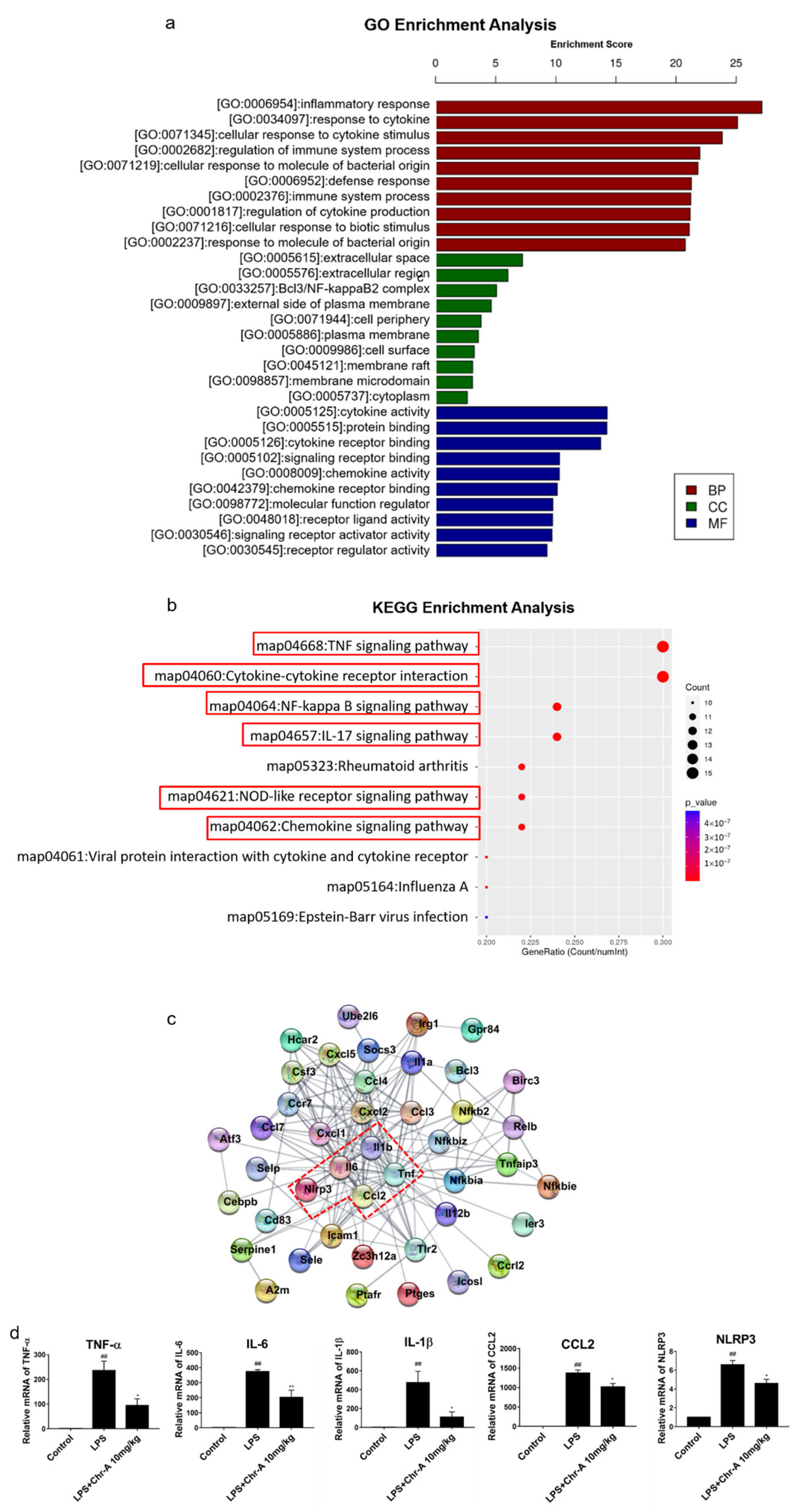Ijms 22 06799 g003 Ijms 22 06799 g003