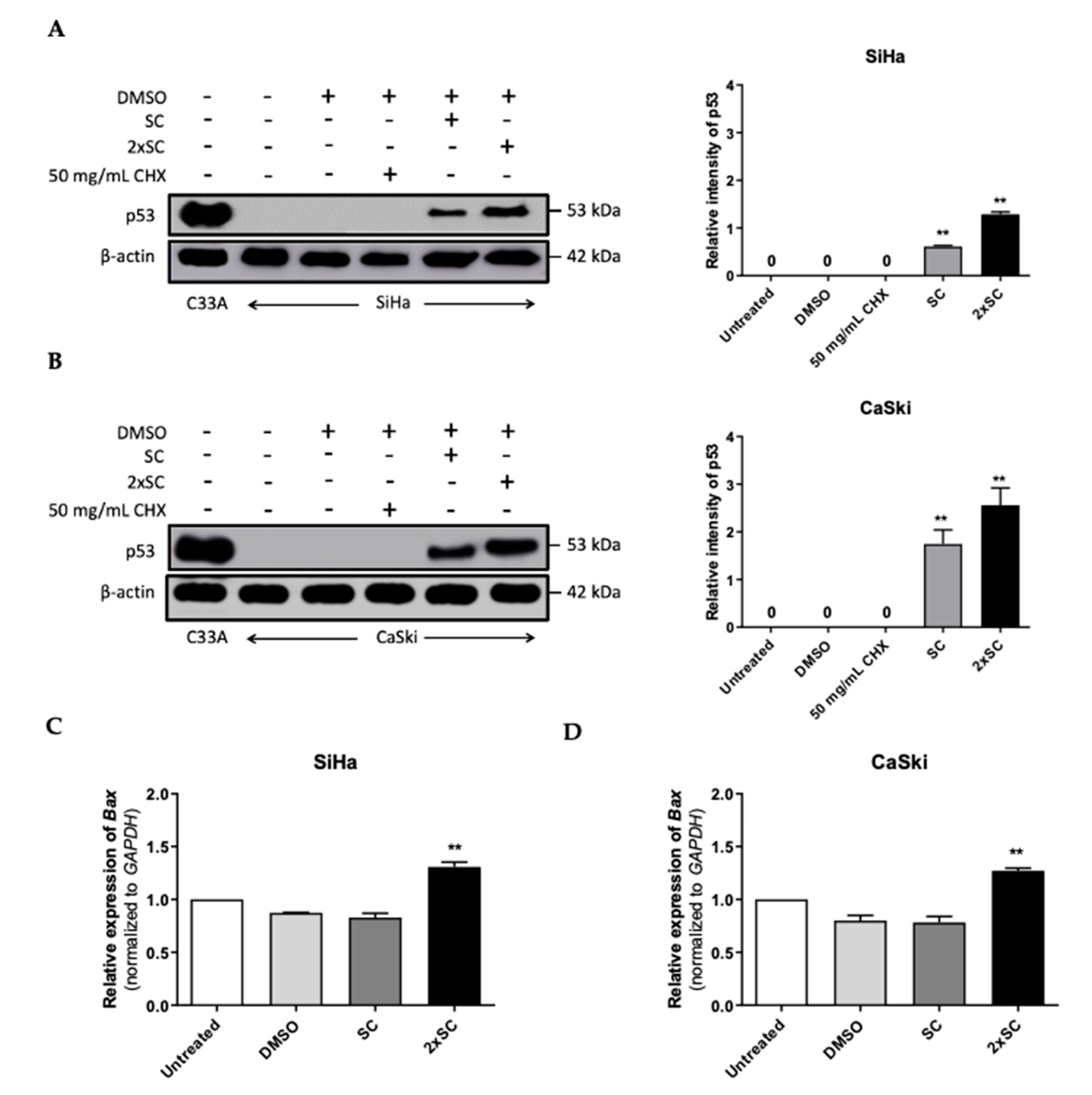 Ijms 22 06806 g005 Ijms 22 06806 g005