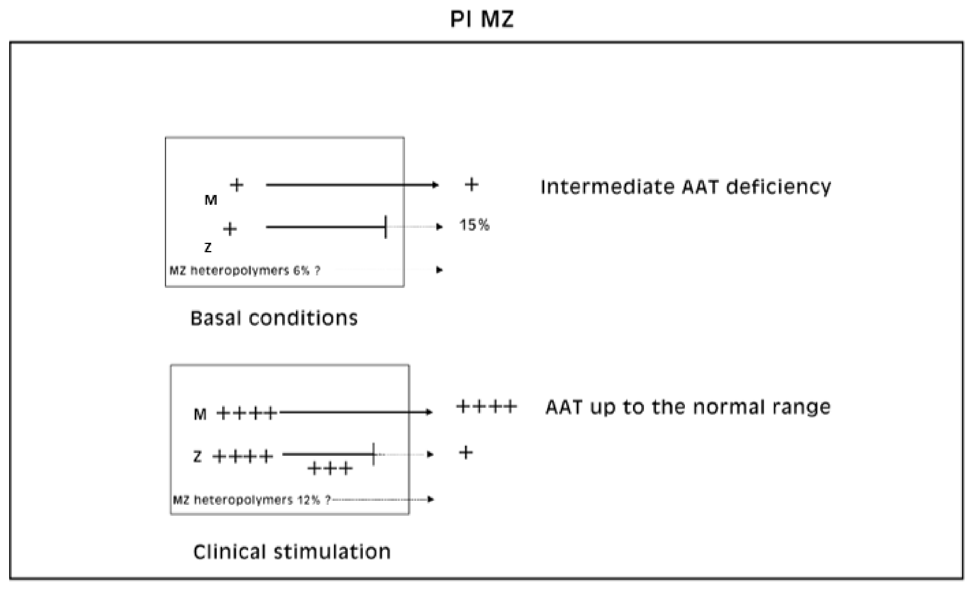 Ijms 22 06807 g012 550