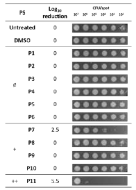 Ijms 22 06808 g003 550