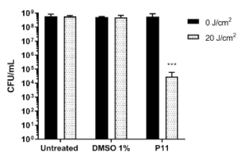 Ijms 22 06808 g004 550