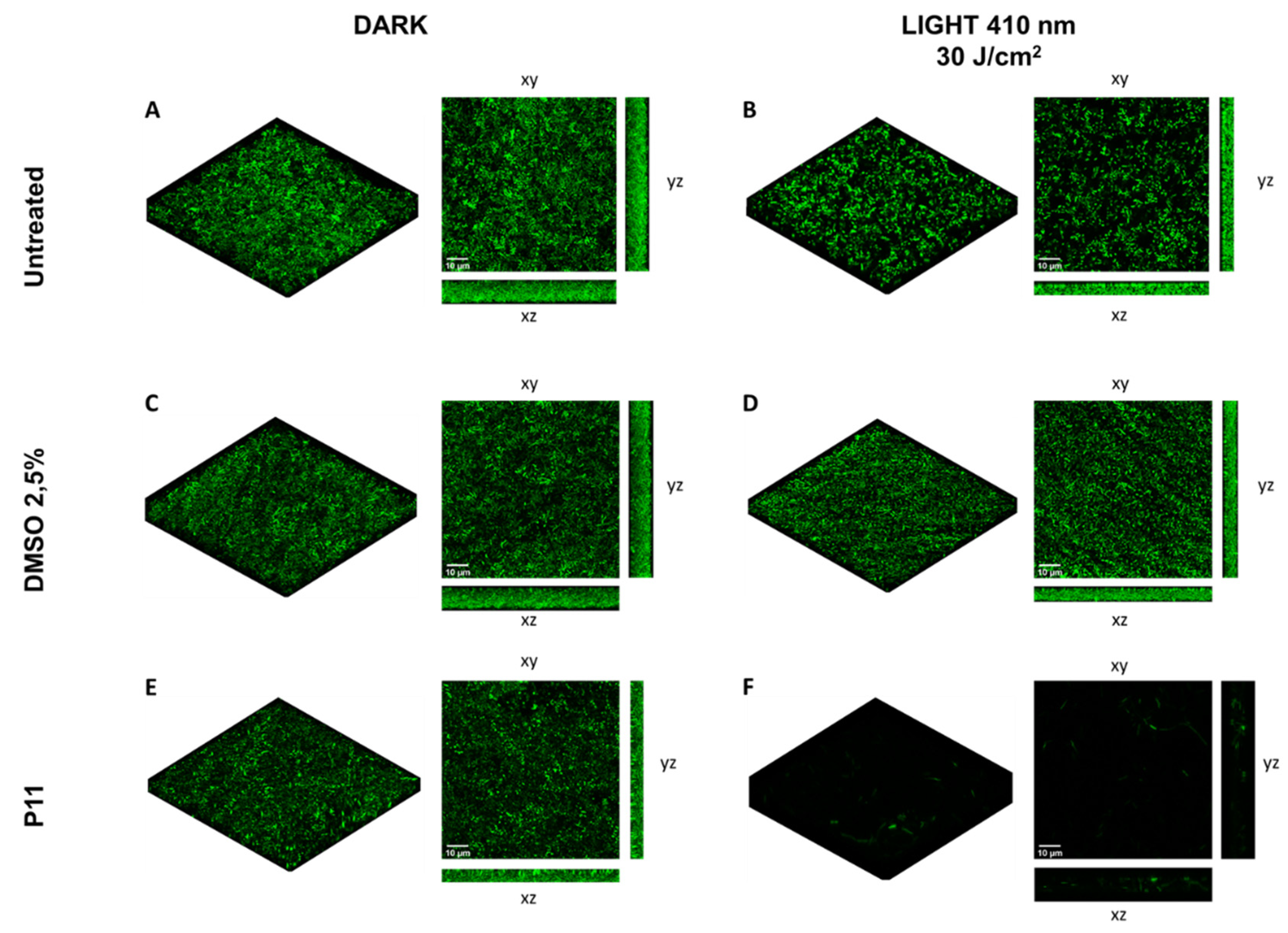 Ijms 22 06808 g008 550