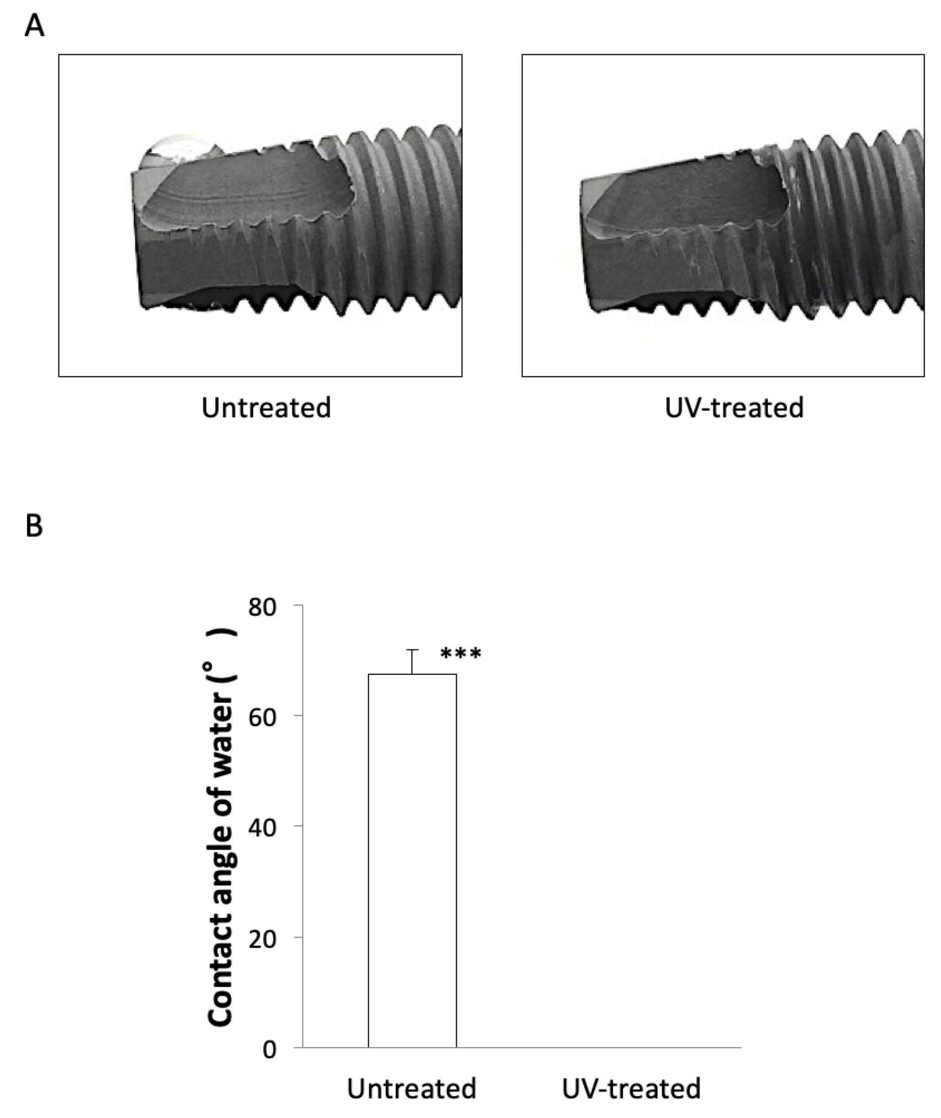 Ijms 22 06811 g001 Ijms 22 06811 g001