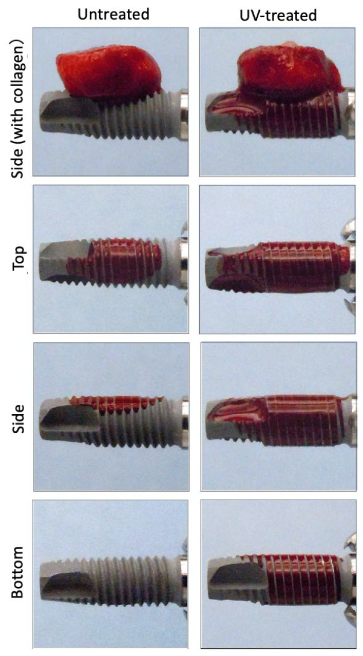 Ijms 22 06811 g002 Ijms 22 06811 g002