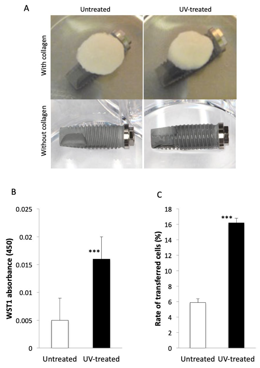 Ijms 22 06811 g004 Ijms 22 06811 g004