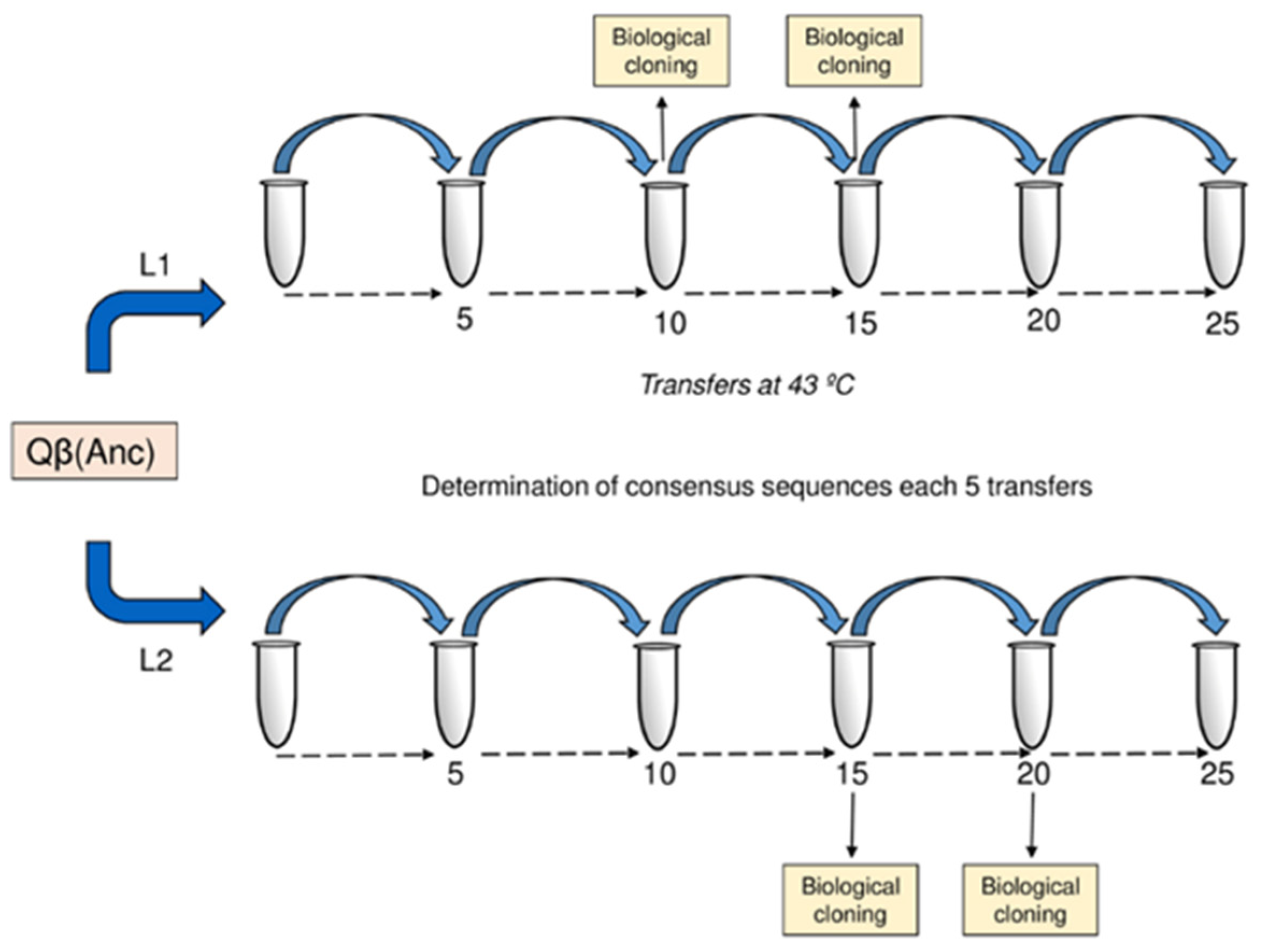 Ijms 22 06815 g001 550