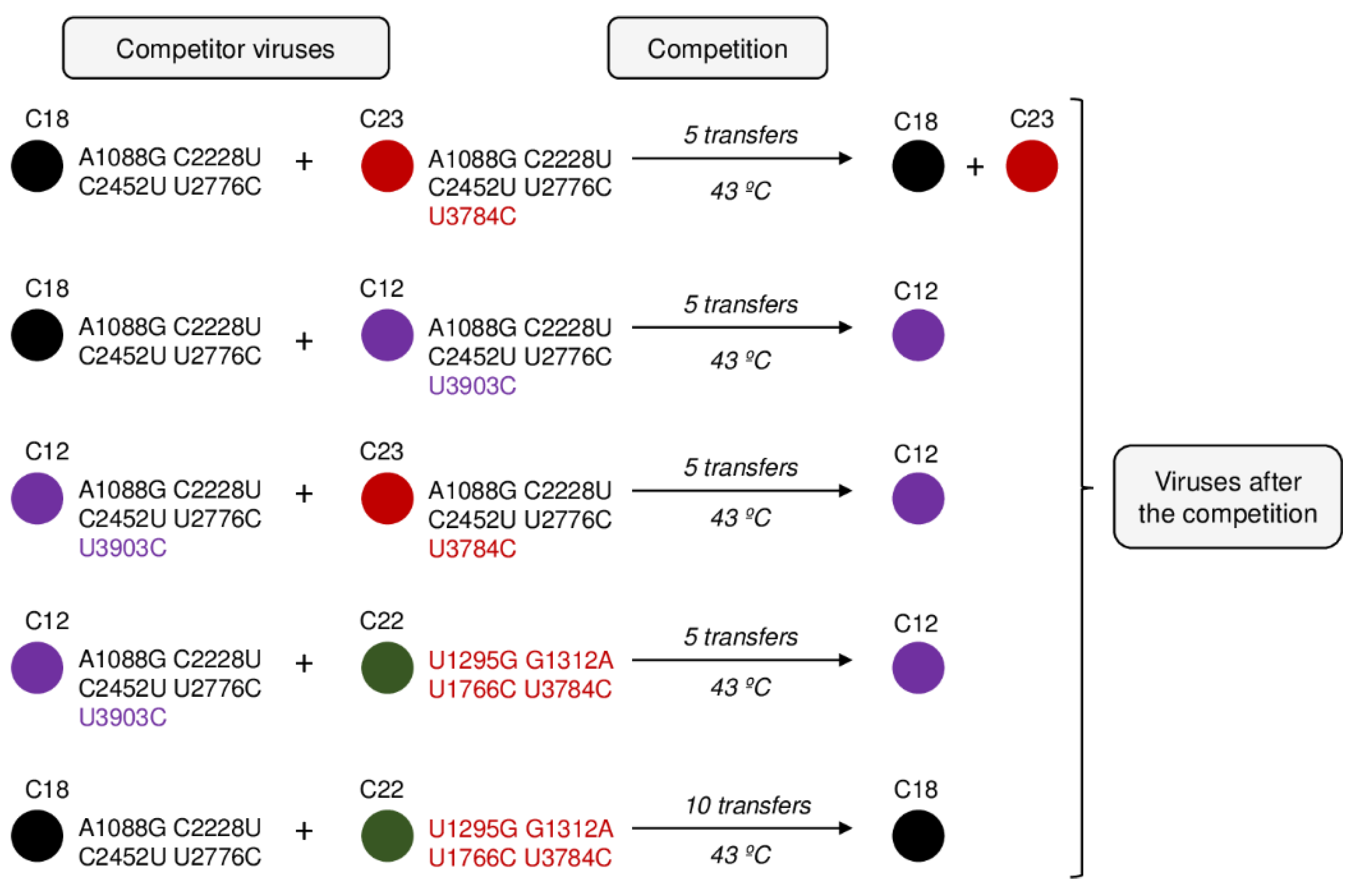 Ijms 22 06815 g004 550