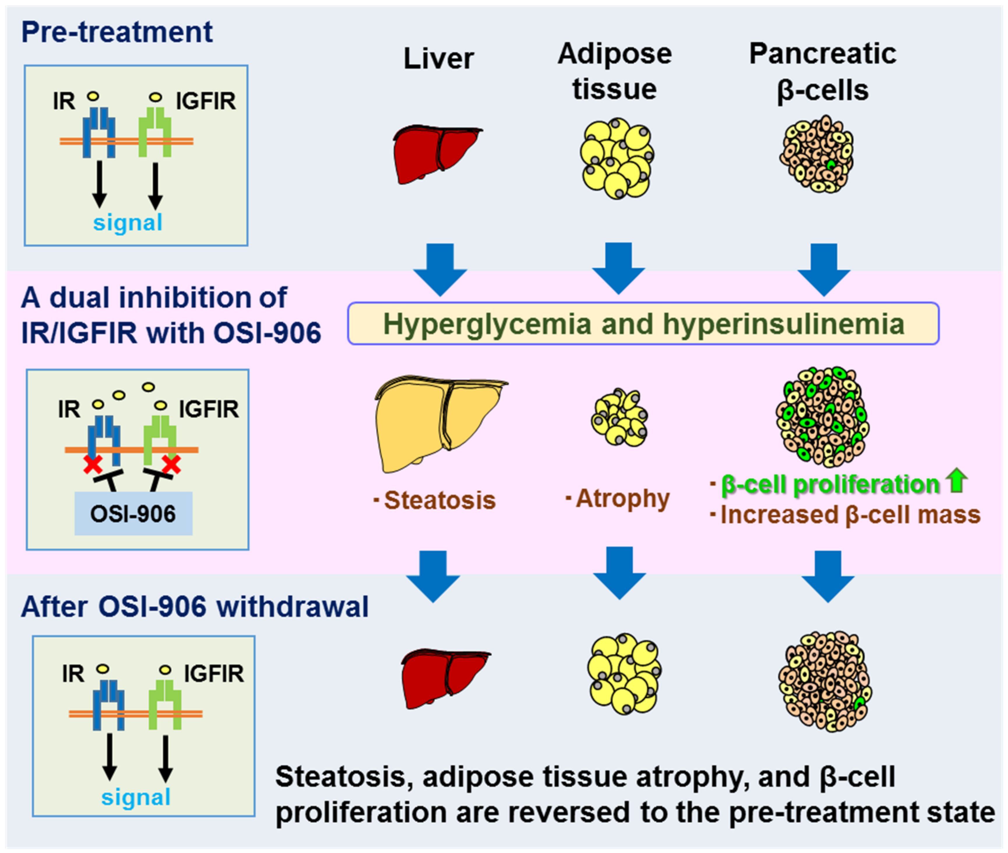 Ijms 22 06817 g002 550