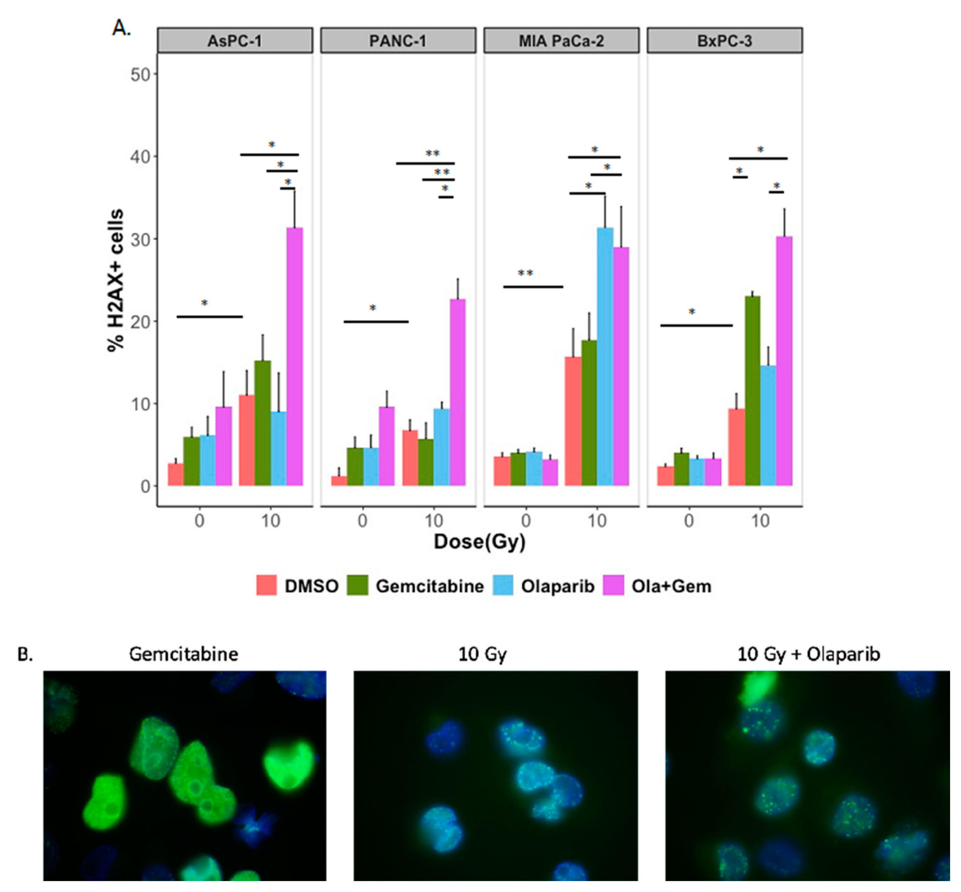 Ijms 22 06825 g006 550