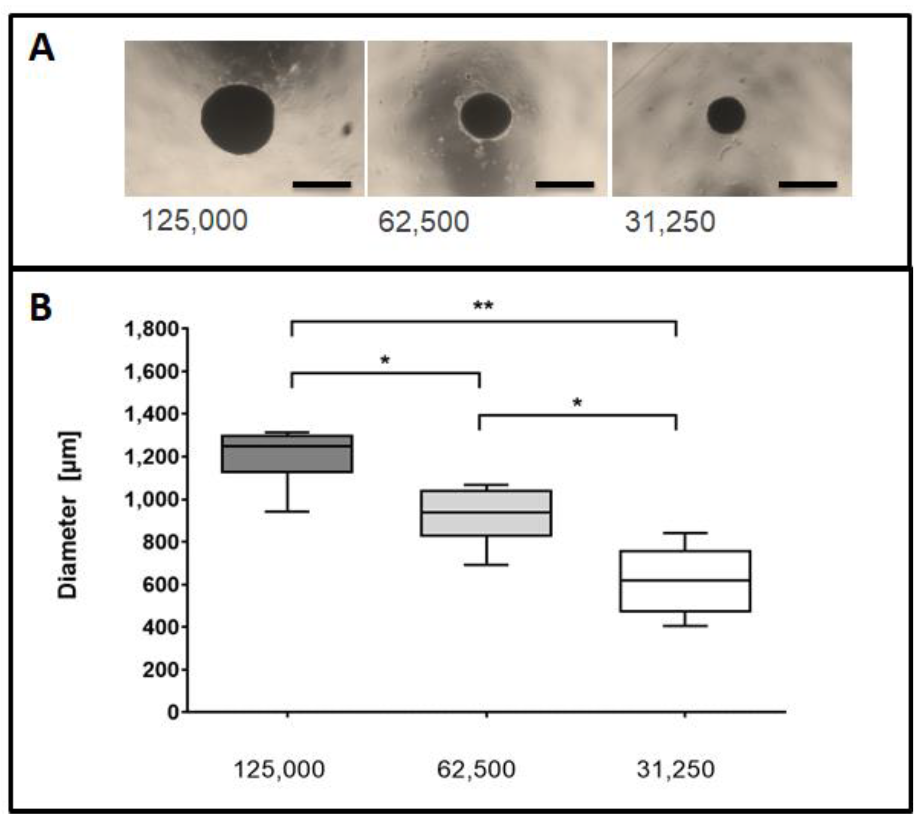 Ijms 22 06831 g001 Ijms 22 06831 g001