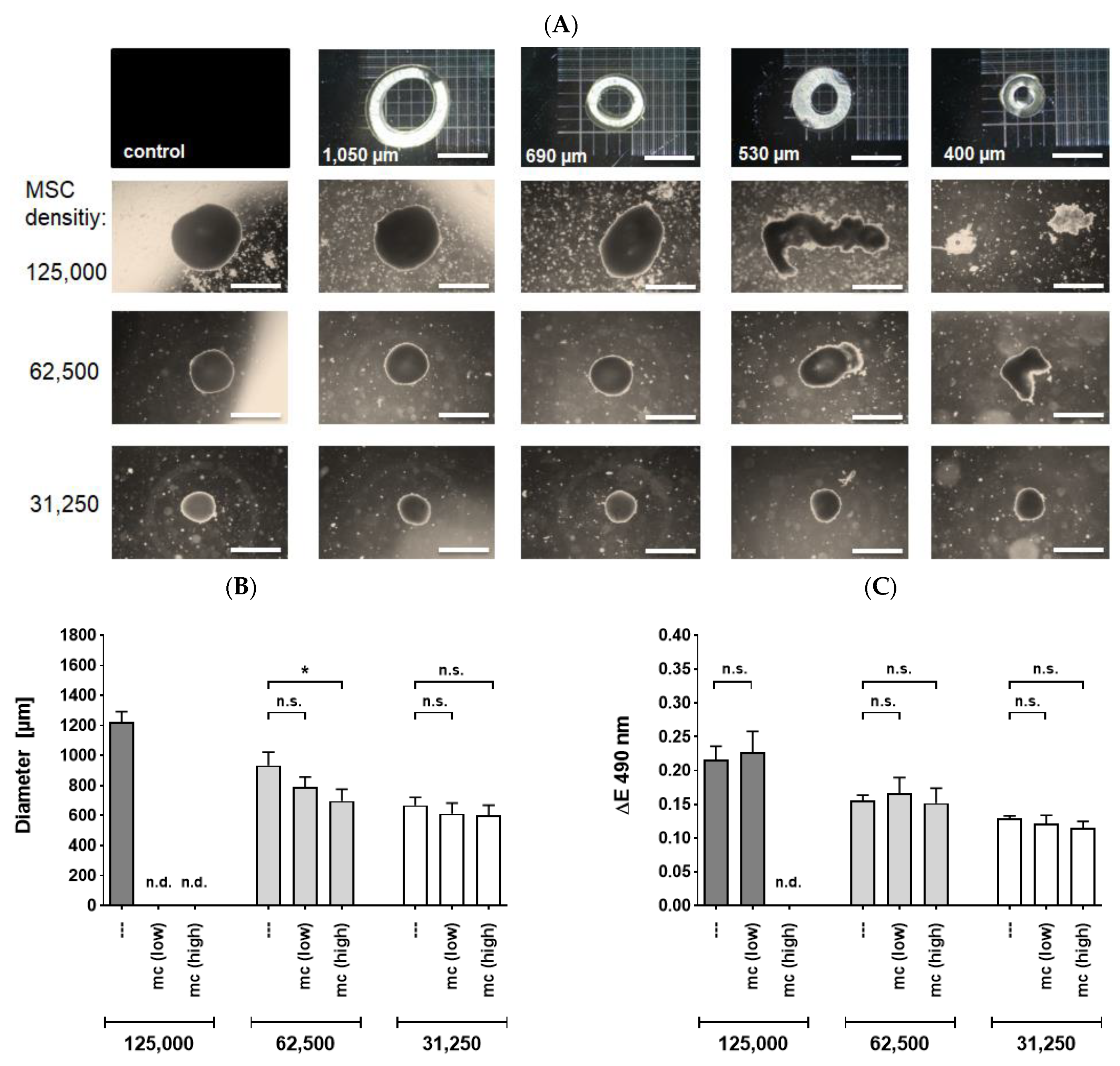 Ijms 22 06831 g003 Ijms 22 06831 g003